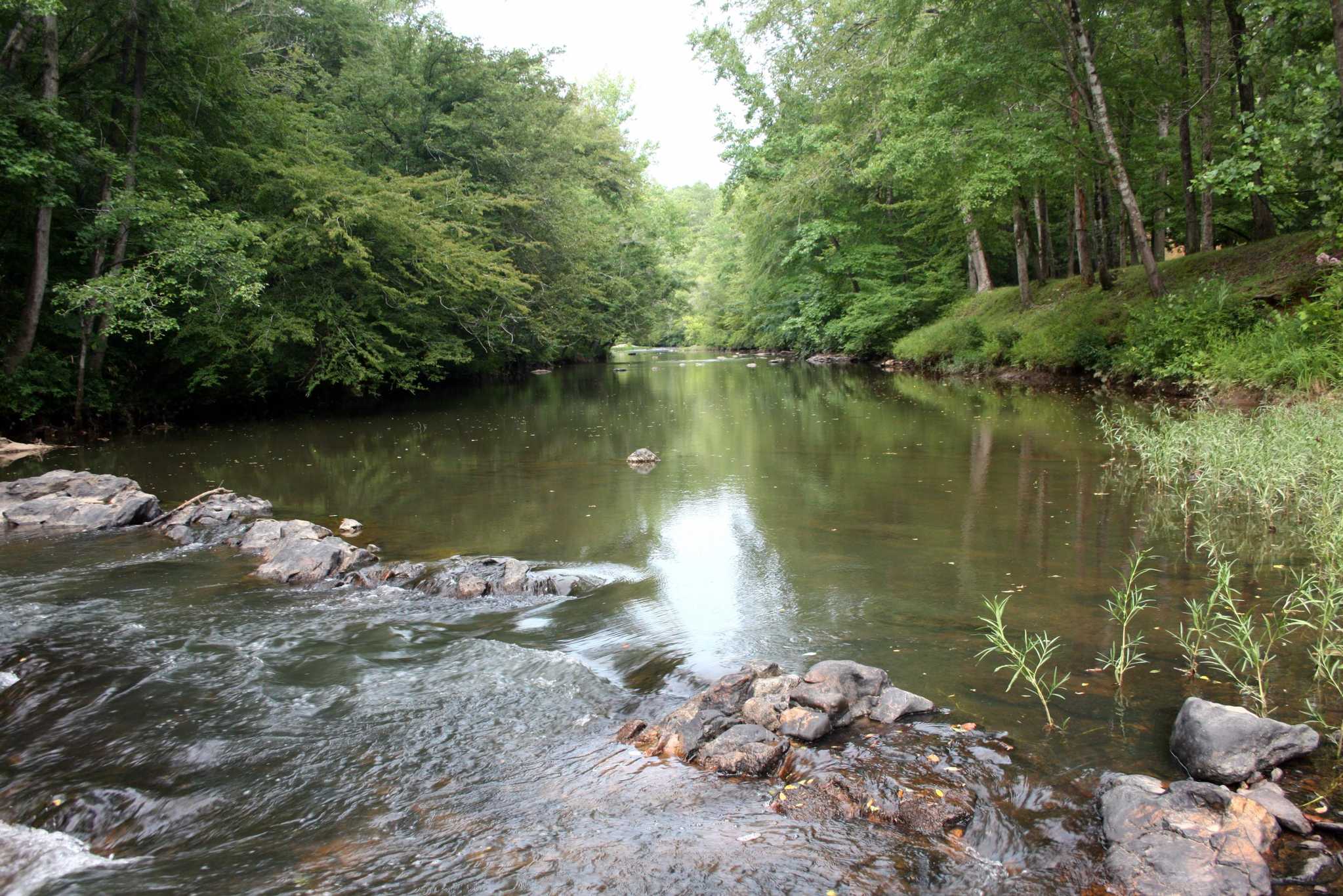 Hatchet Creek 323 acres