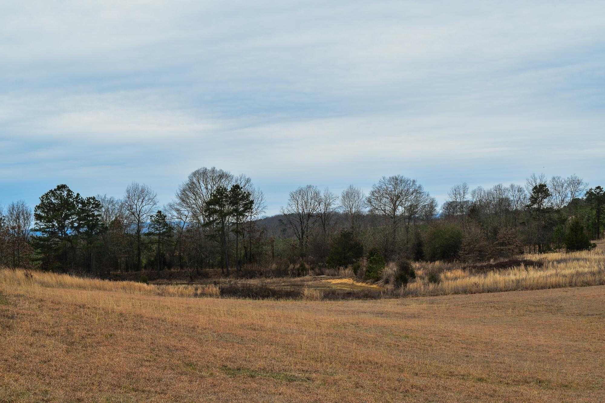 37.5 acres in McCurtain County, Oklahoma