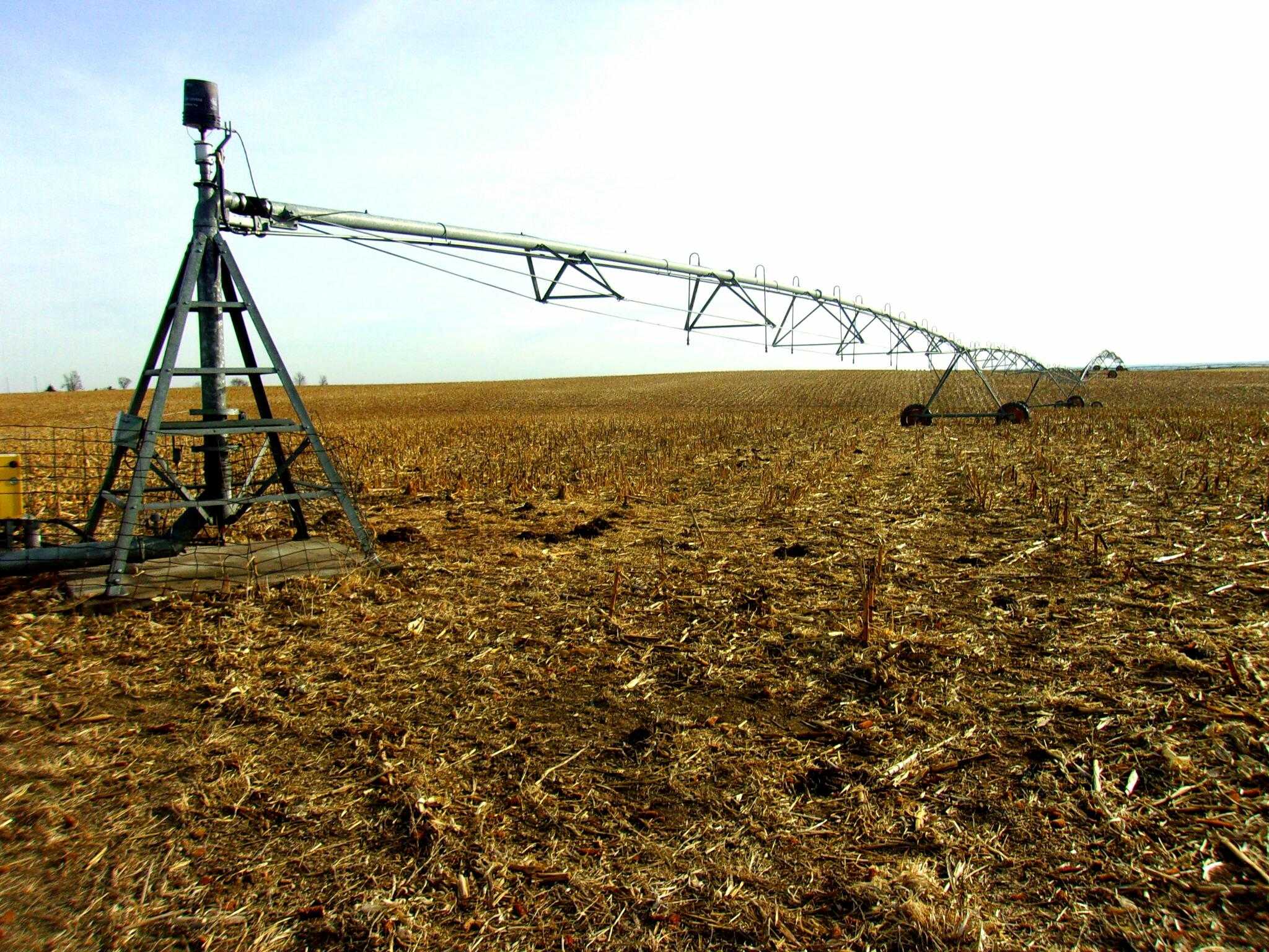 160 Acres Webster Co Pivot Irrigated Land FOR SALE