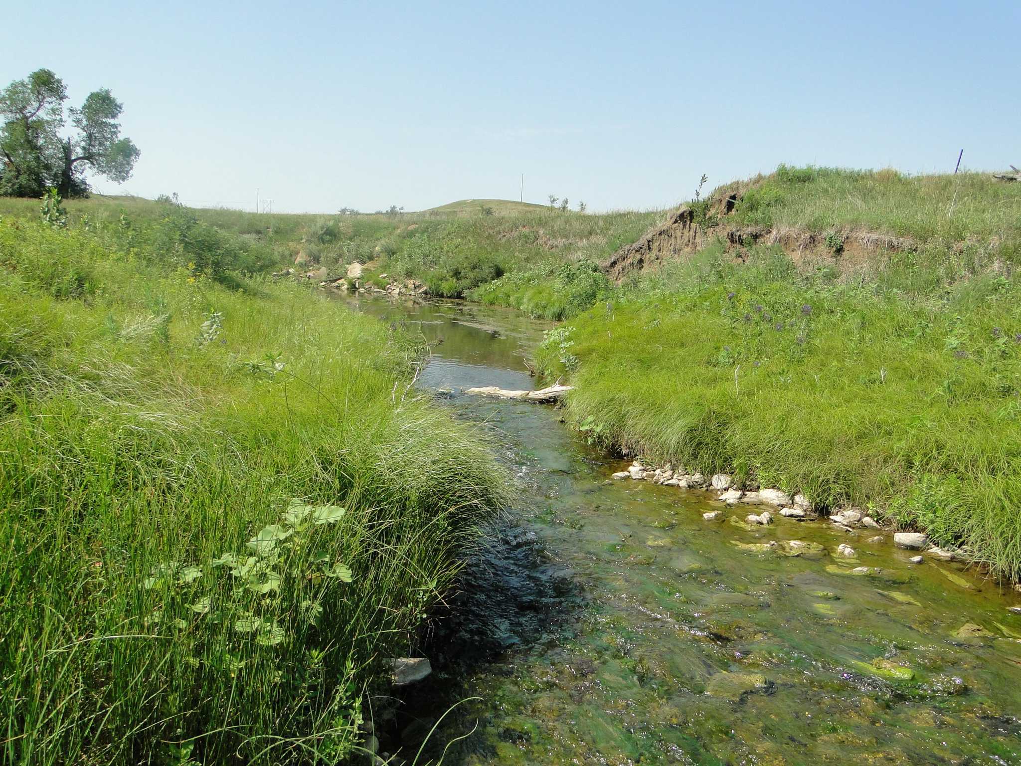 429 acres in Grant County, North Dakota