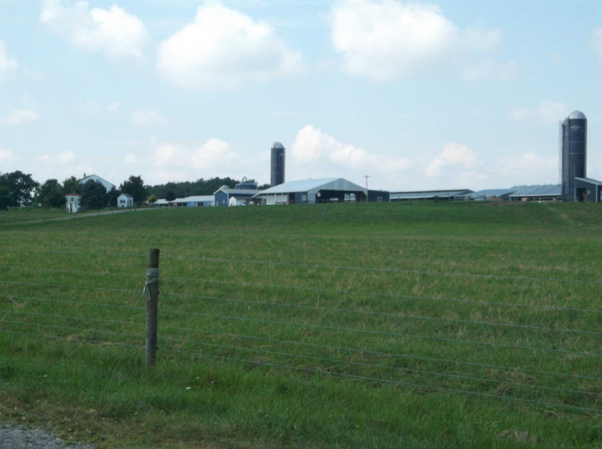 Dairy Farm for Sale