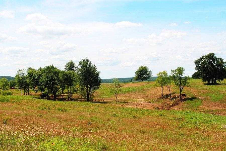 Bugtussle Estates at Lake Eufaula