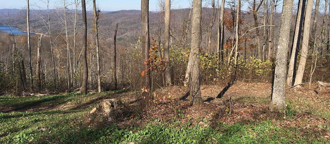 Unrestricted TN Land 1,300/Acre! Mountain and Lake Views!