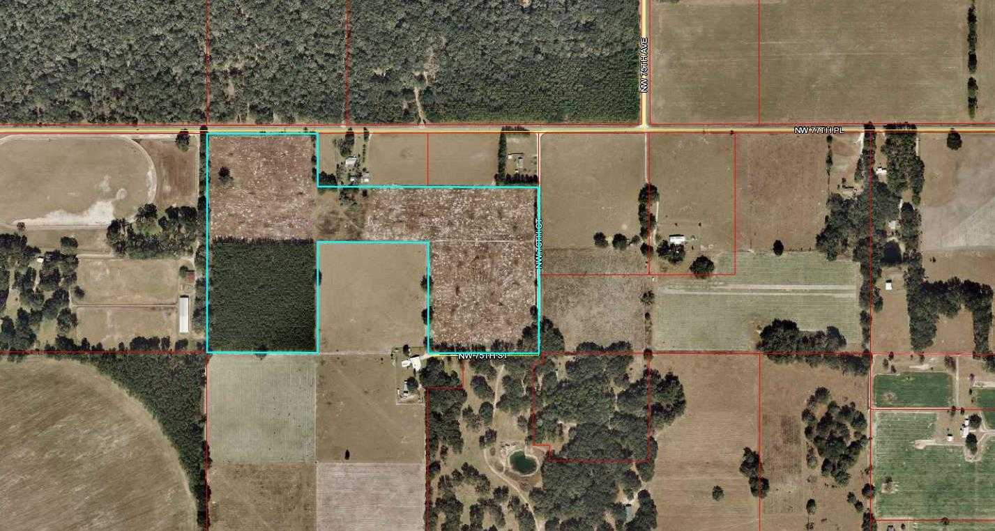 40 acres in Levy County, Florida