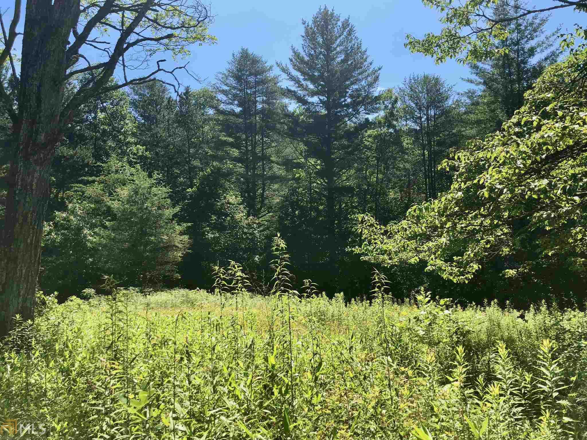 58.78 acres in Rabun County,
