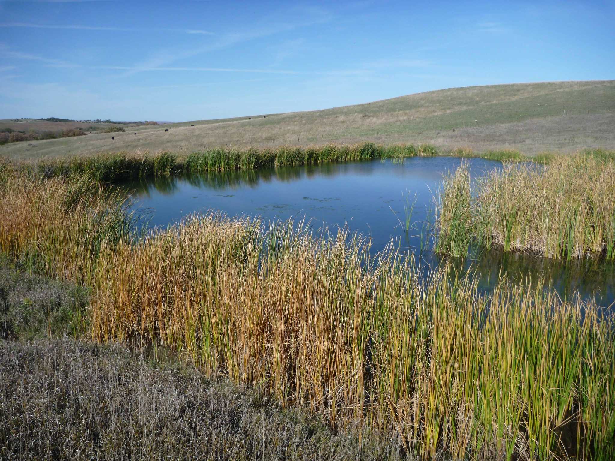 Missouri River Bluff