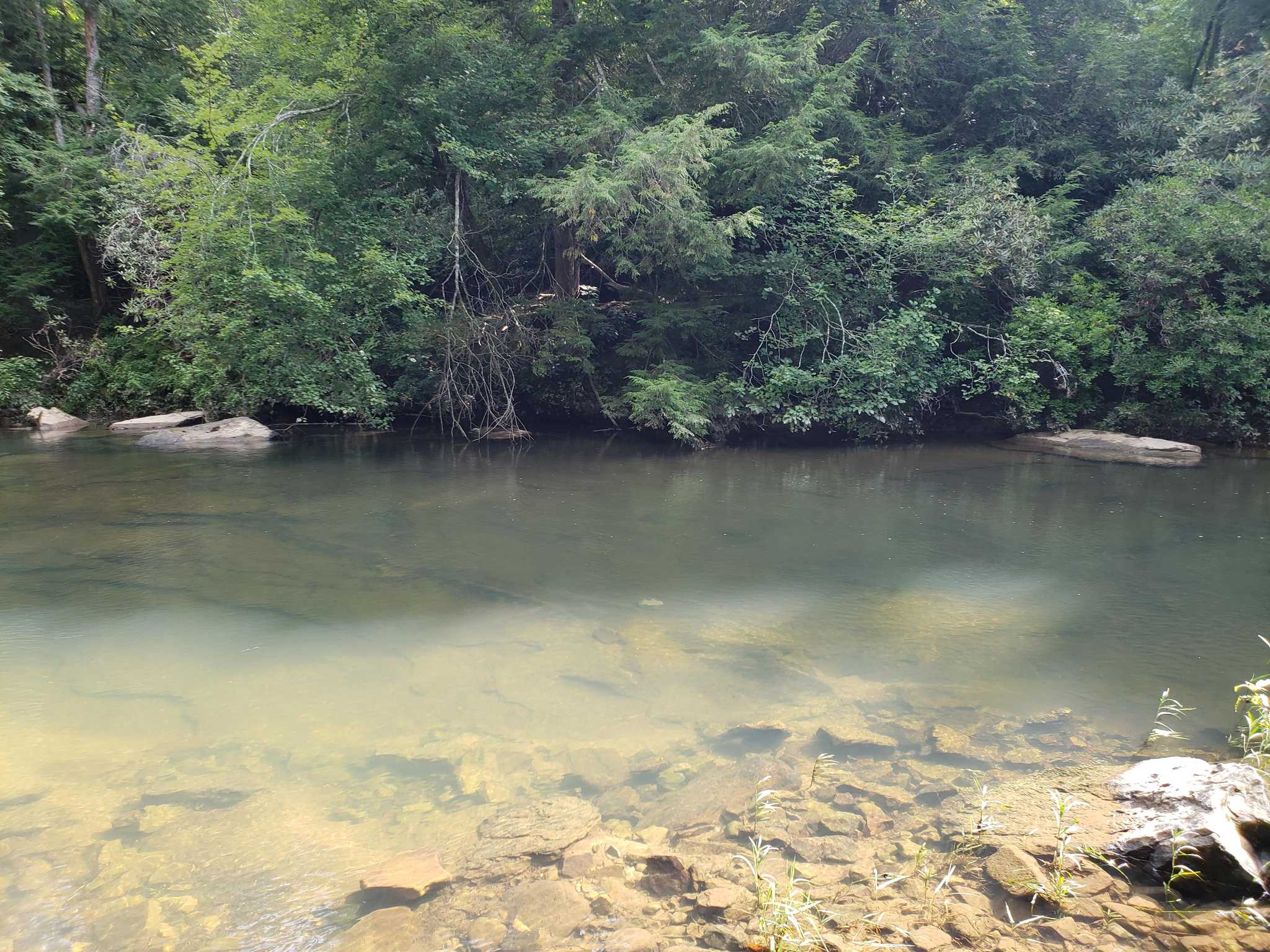 Deep Water on the Caney Fork River