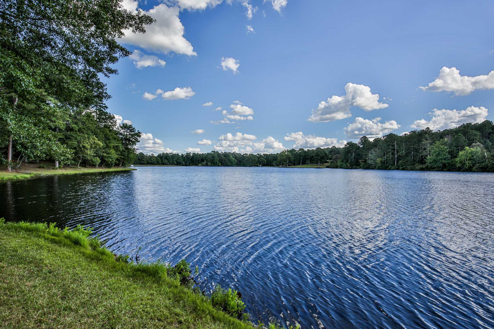 Shoreline at Brooks Lake