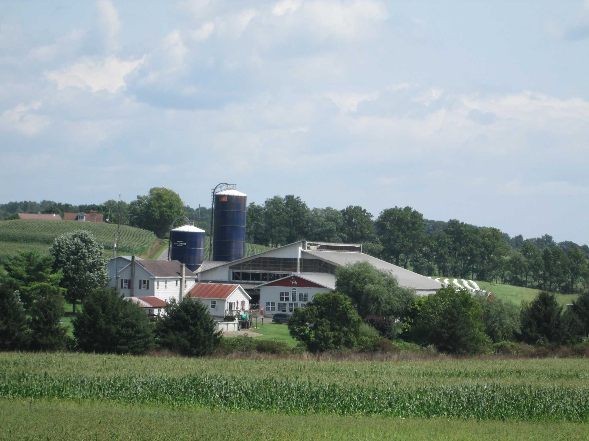 Union County 195 +/ Acre Working Dairy Farm With Parlor and Free Stalls