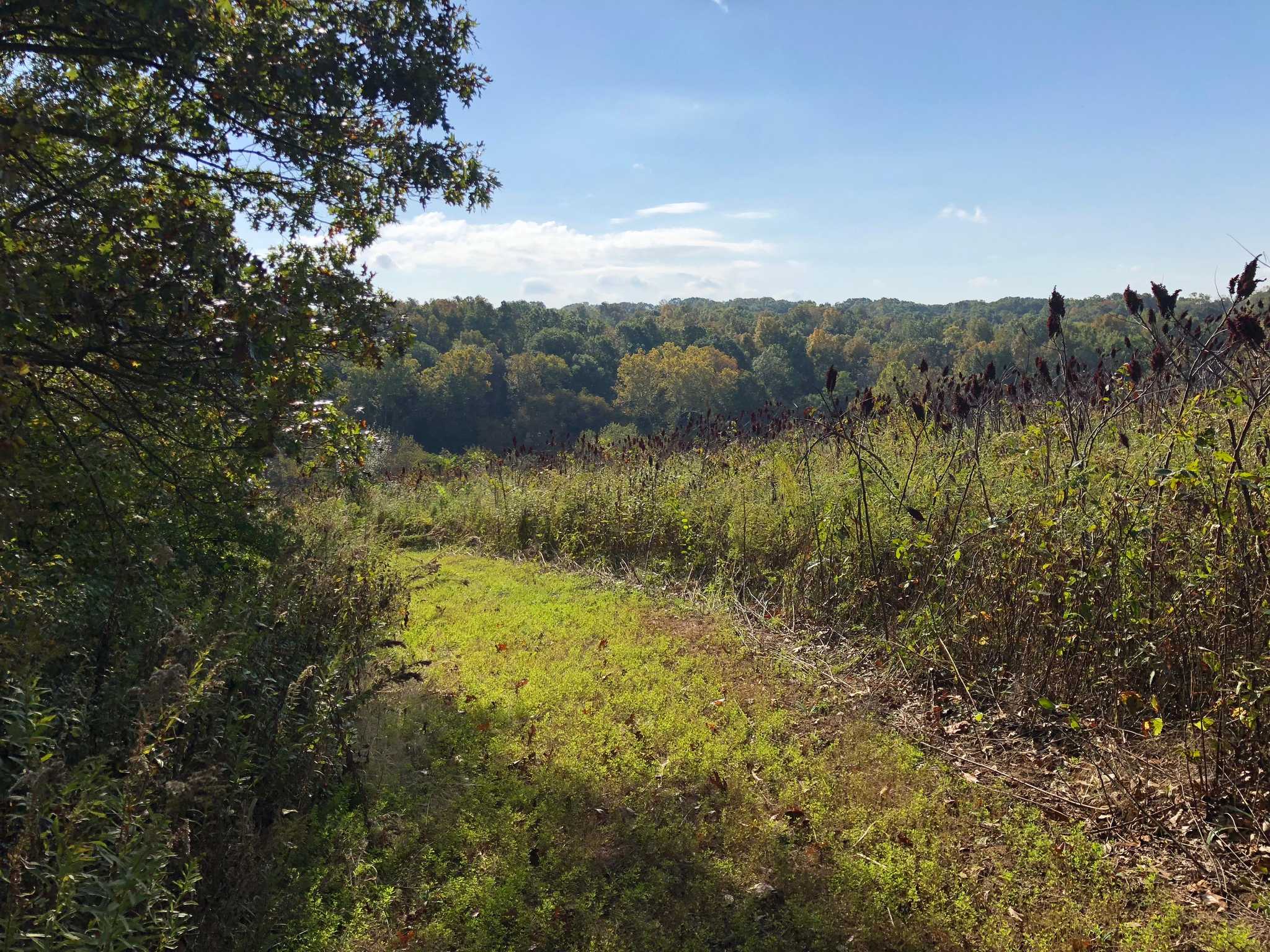 110 +/ Acre Illinois Hunting Farm for Sale Jersey County