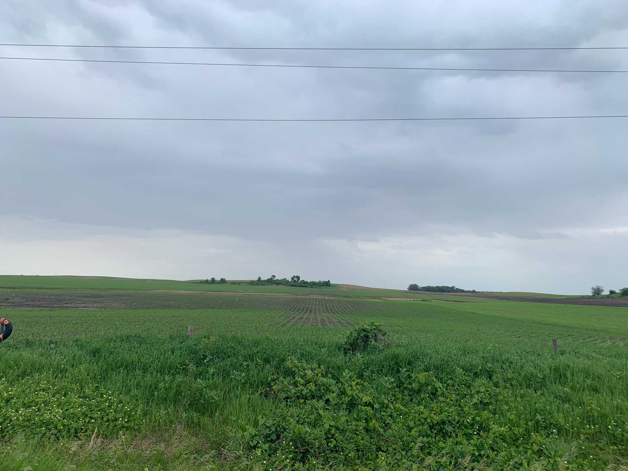 150+/ Cerro Gordo County, IA