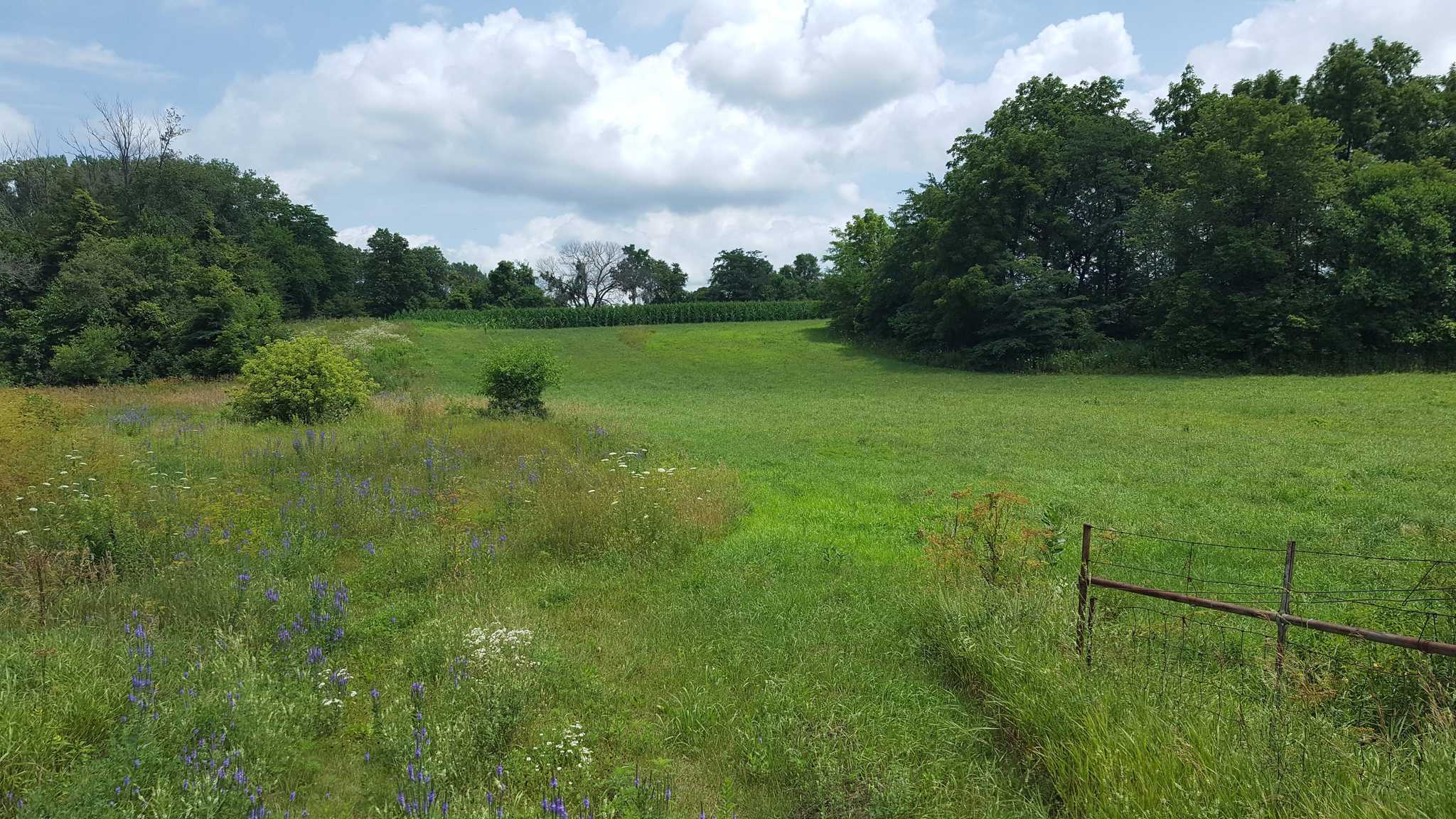 36.16 Acres of Tillable & Recreational Ground in Buchanan County, IA