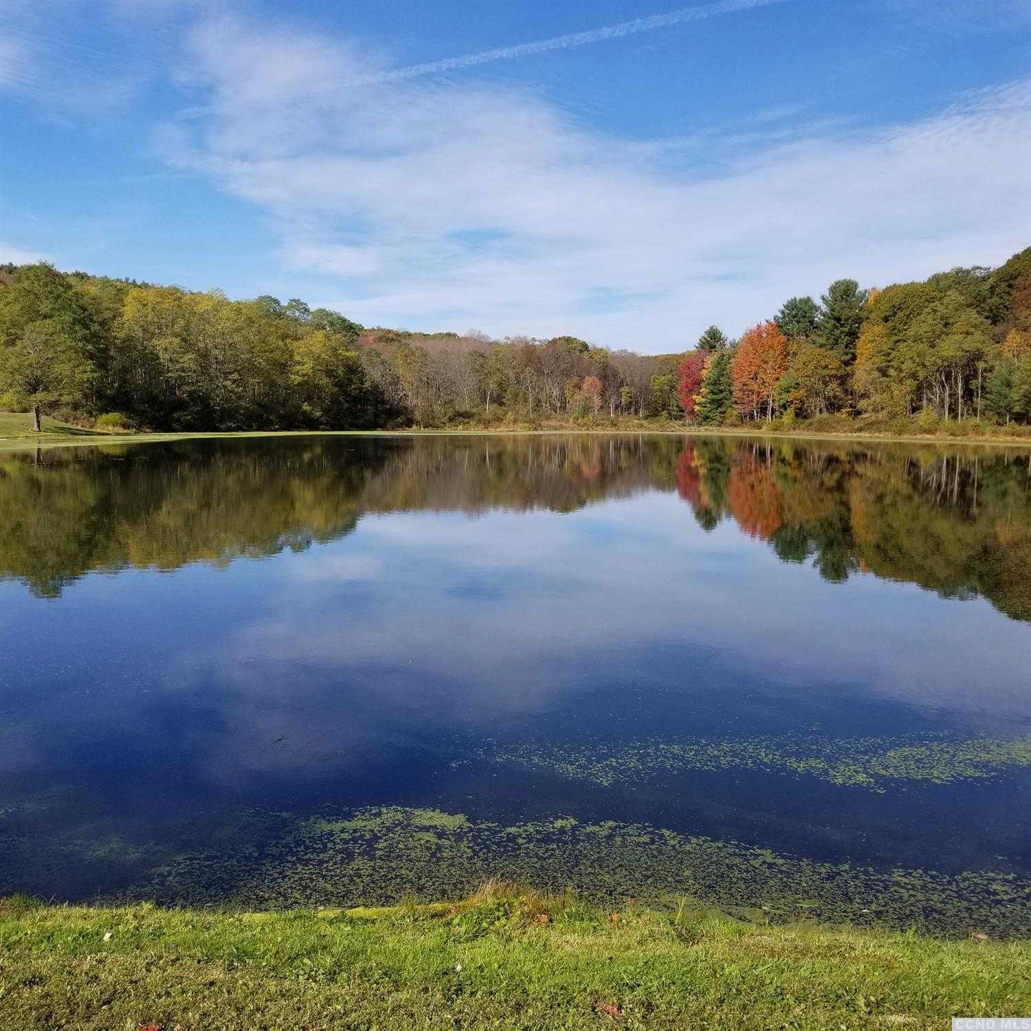 32.7 acres in Greene County, New York