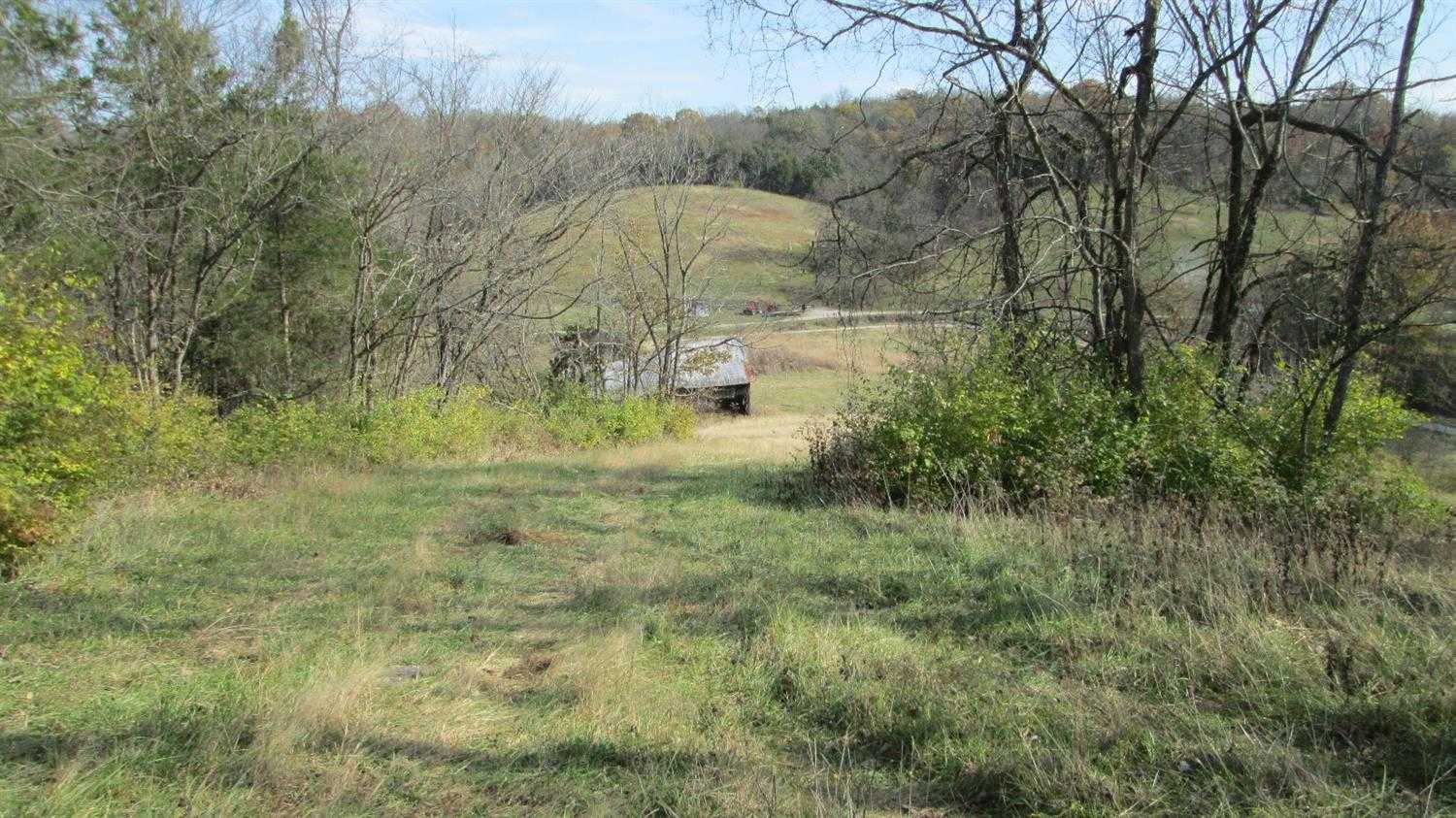 83 acres in Bath County, Kentucky