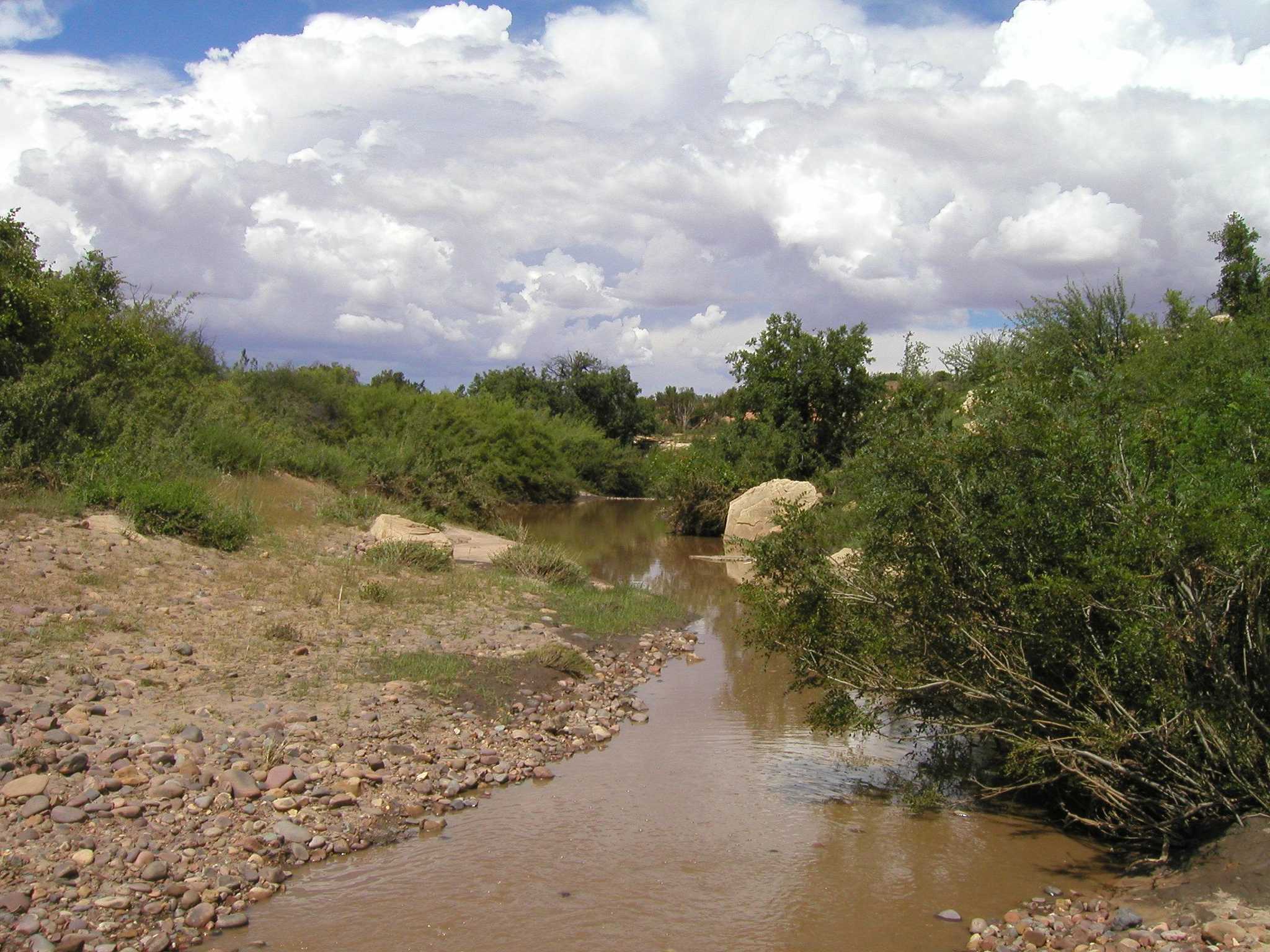 163 Acre Northern Arizona Wilderness Ranch with Creek Frontage