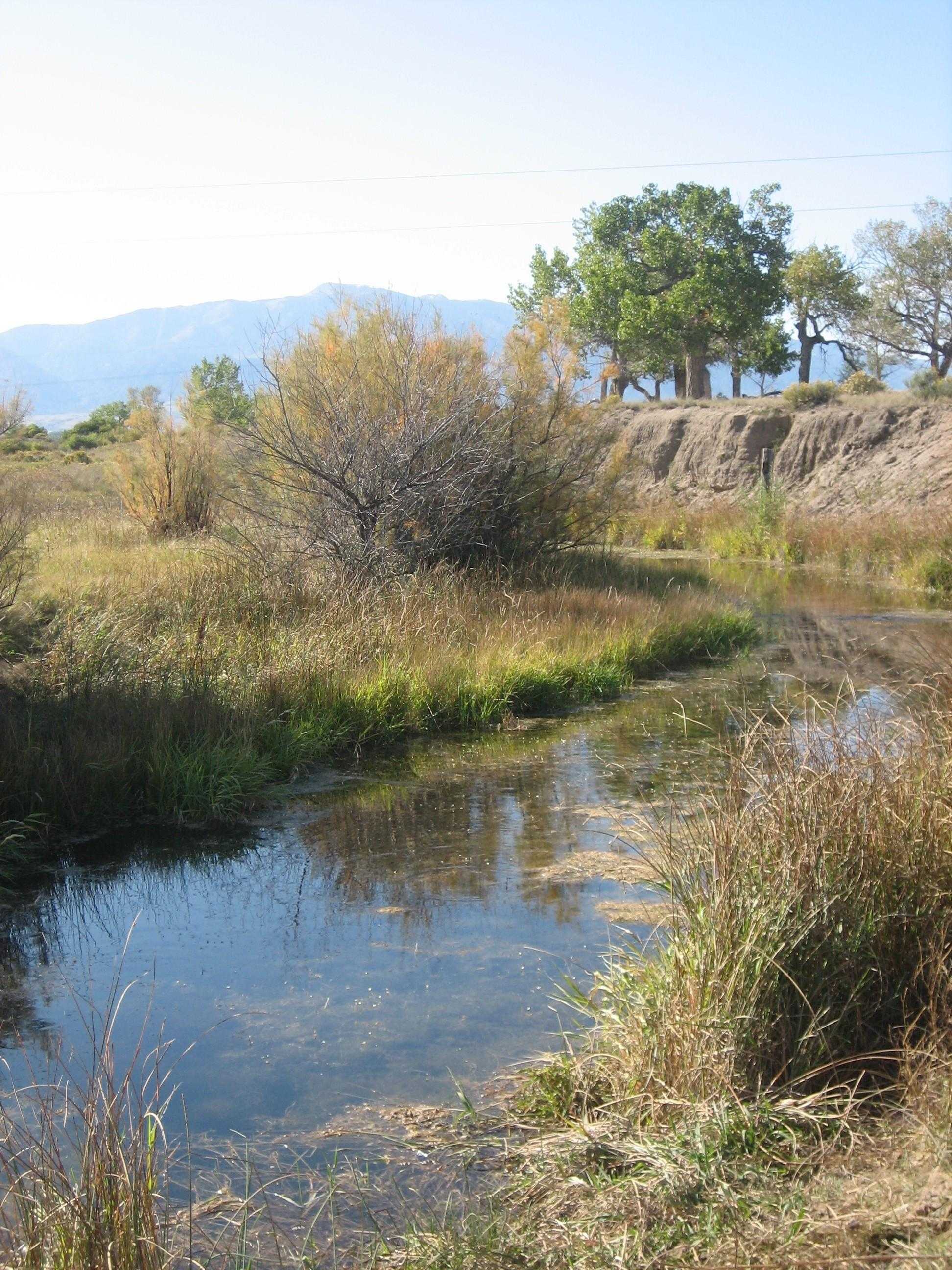 Apache Creek Preserve