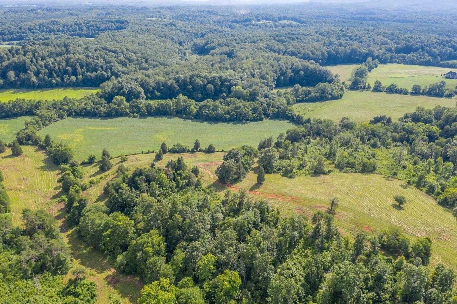 170 Boxwood Ln, Hardy VA