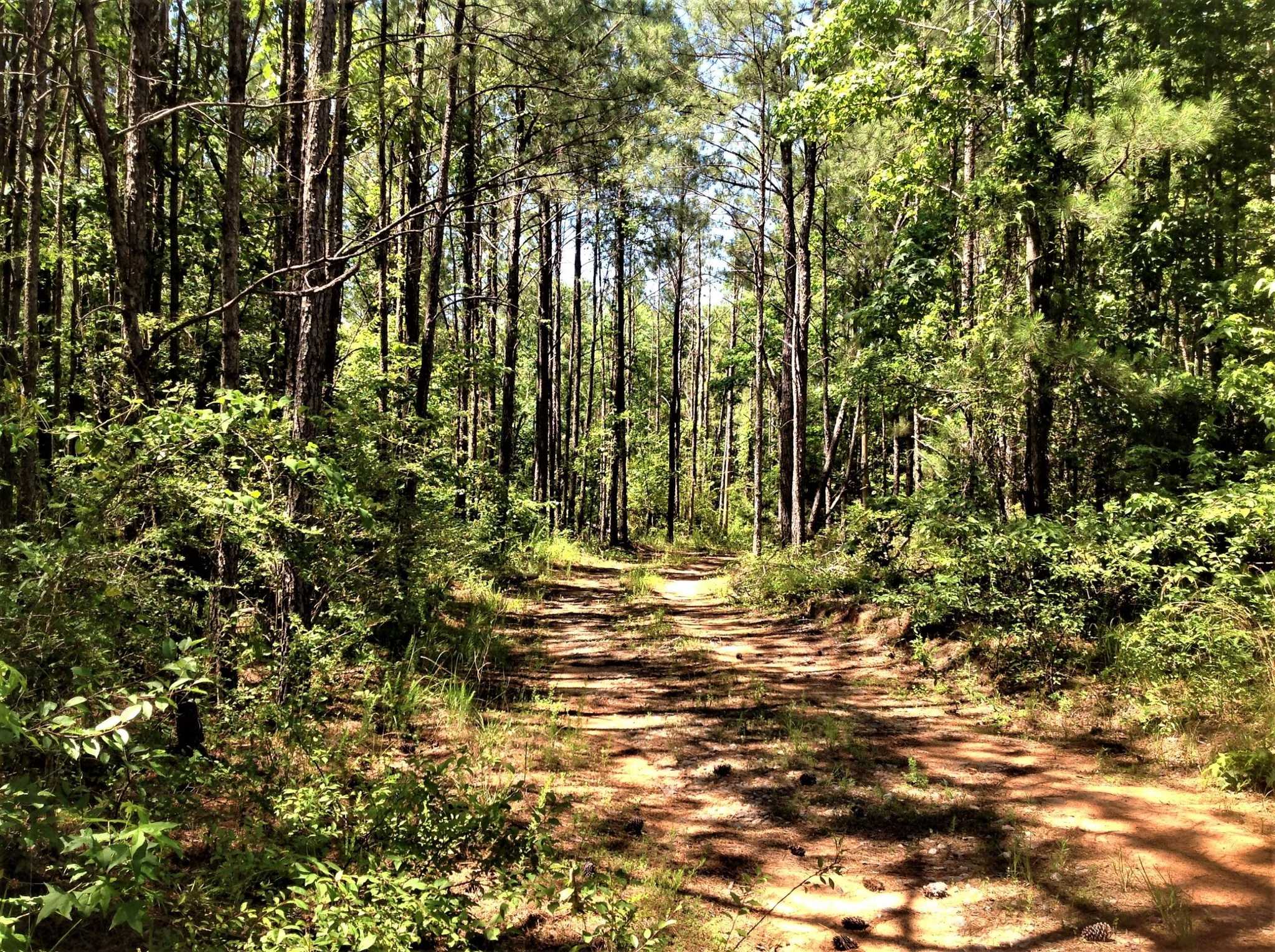 24 acres in Elmore County, Alabama