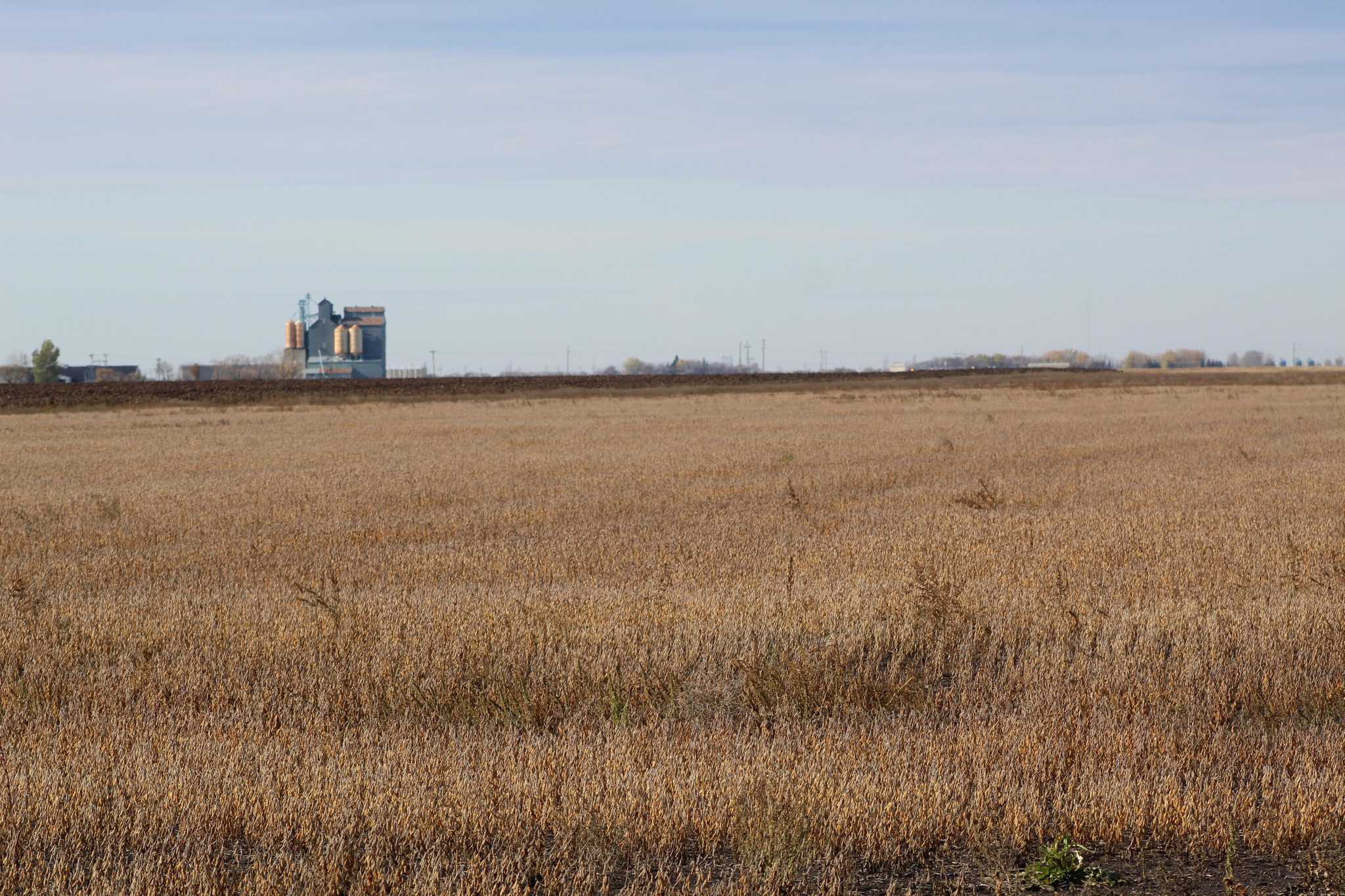 1838.38 acres in Kittson County, Minnesota