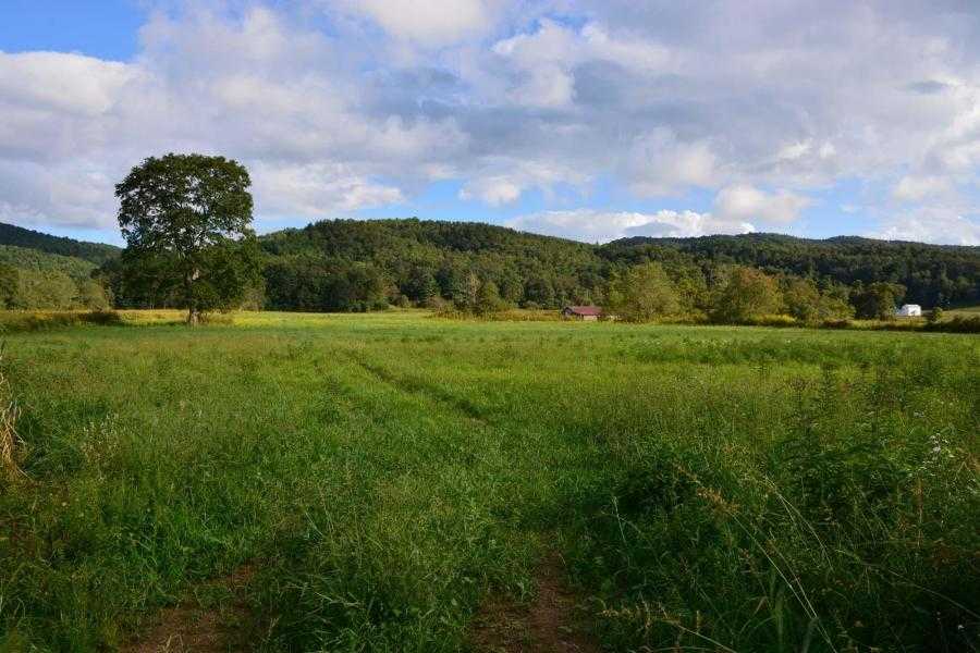 61.58 acres in Pocahontas County, West Virginia
