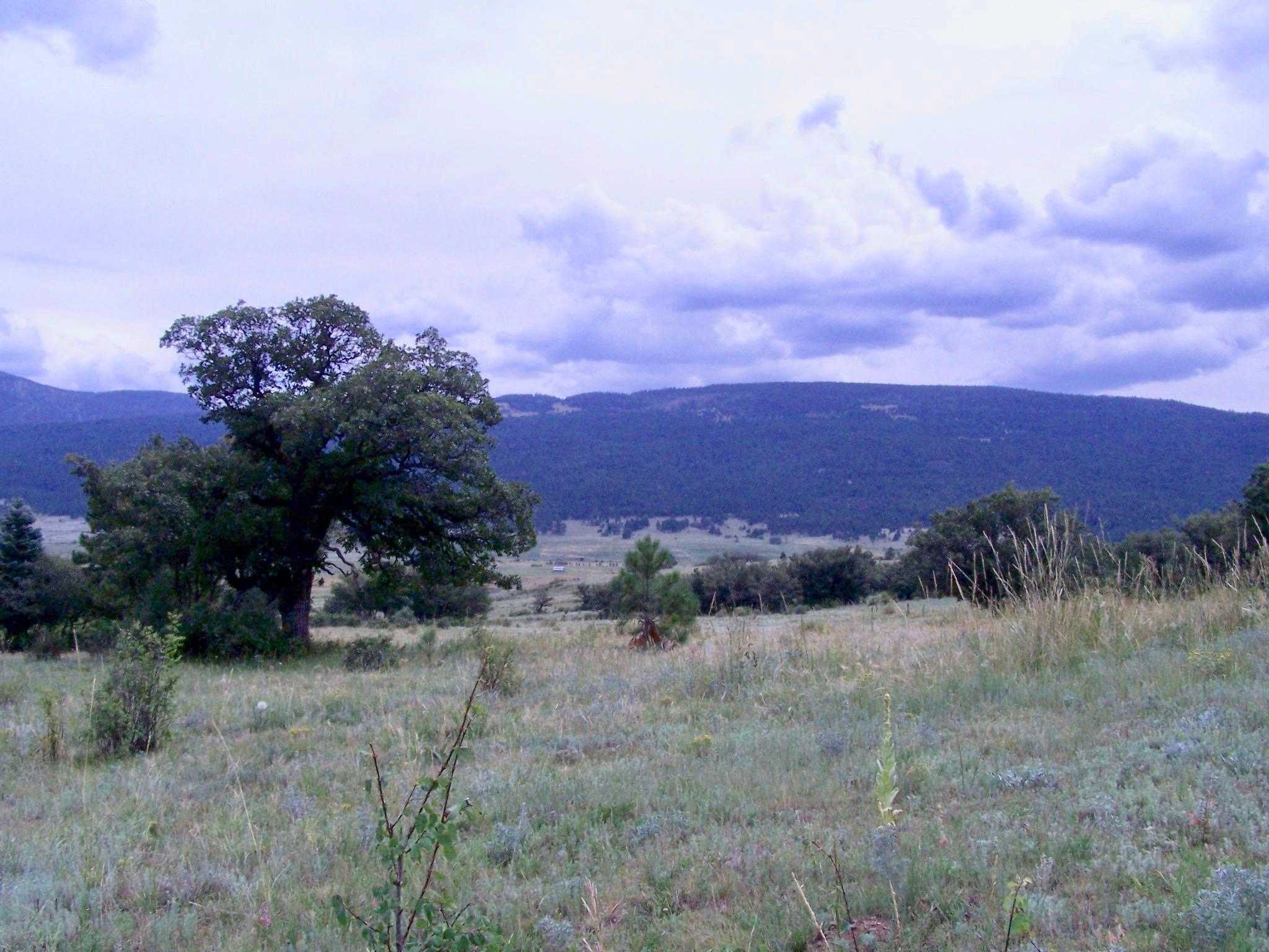 Baca Ranch