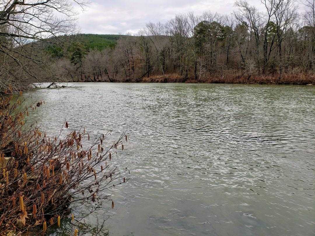 HONOBIA SHORES 10 ACRES