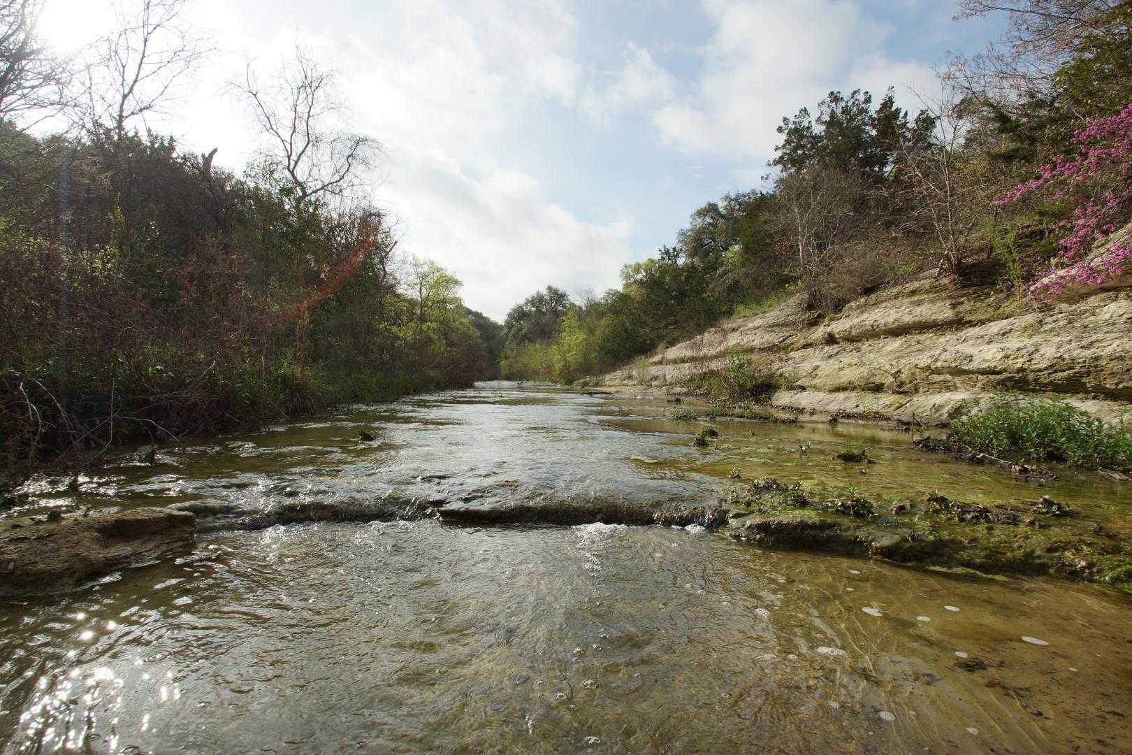 10+ acres Spring Fed Creek Frontage in TX