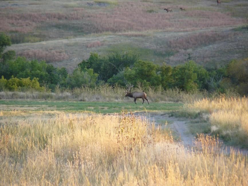 560 acres in Sioux County, Nebraska