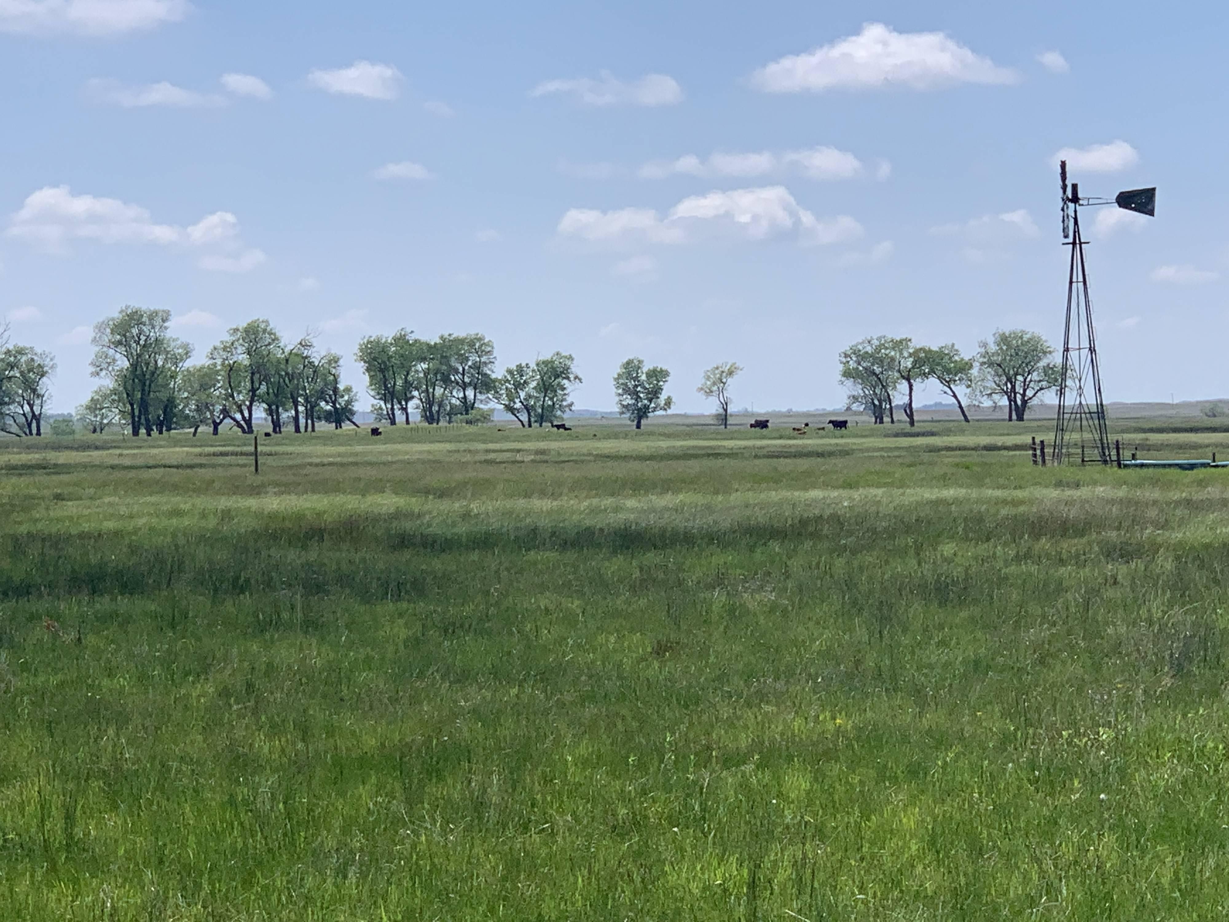 259 acres in Holt County, Nebraska