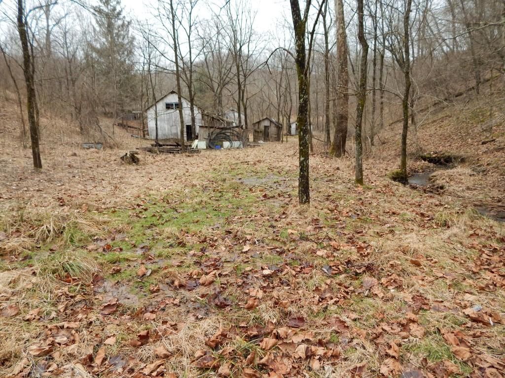 98.2 acres in Ritchie County, West Virginia