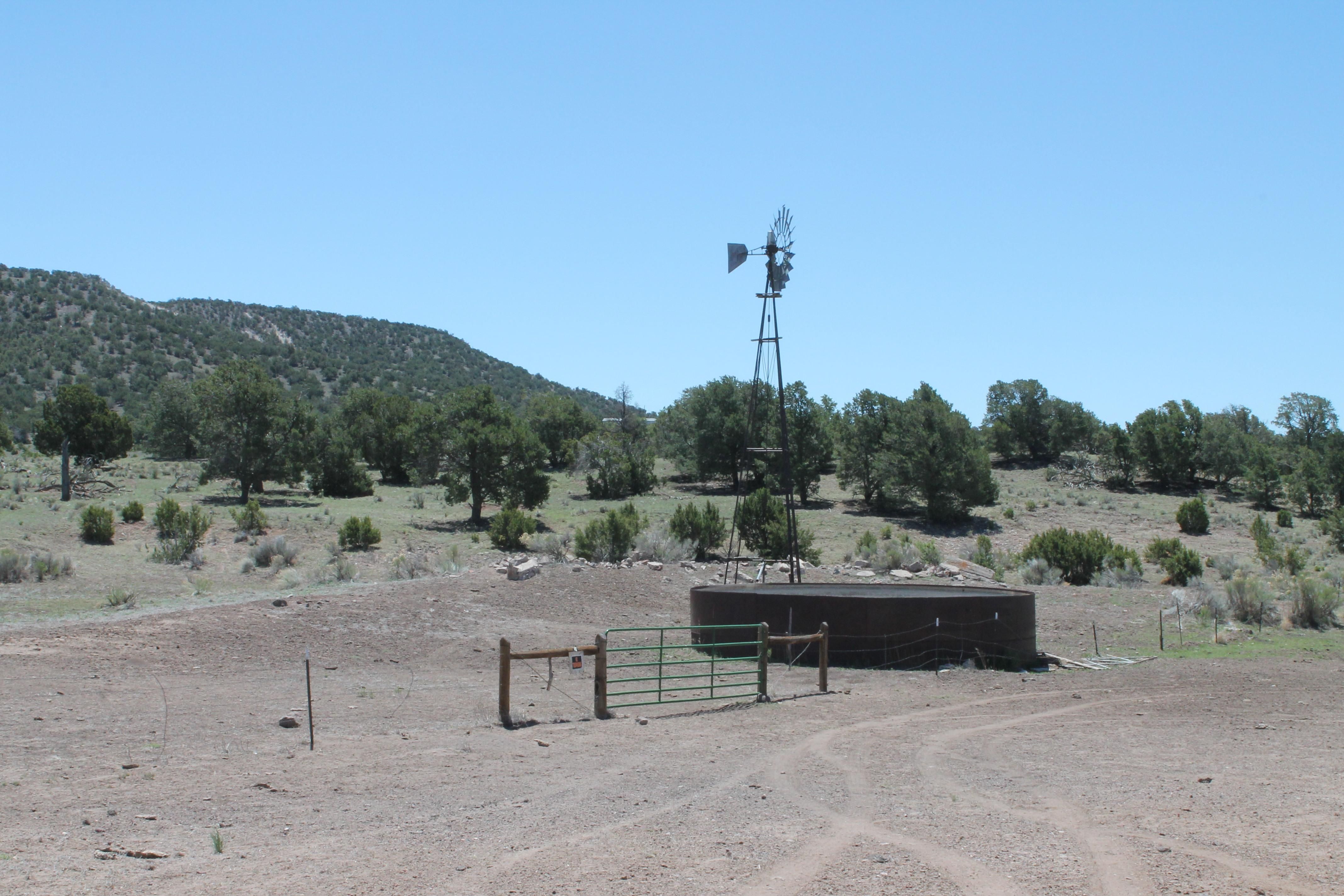 38 acres in Catron County, New Mexico