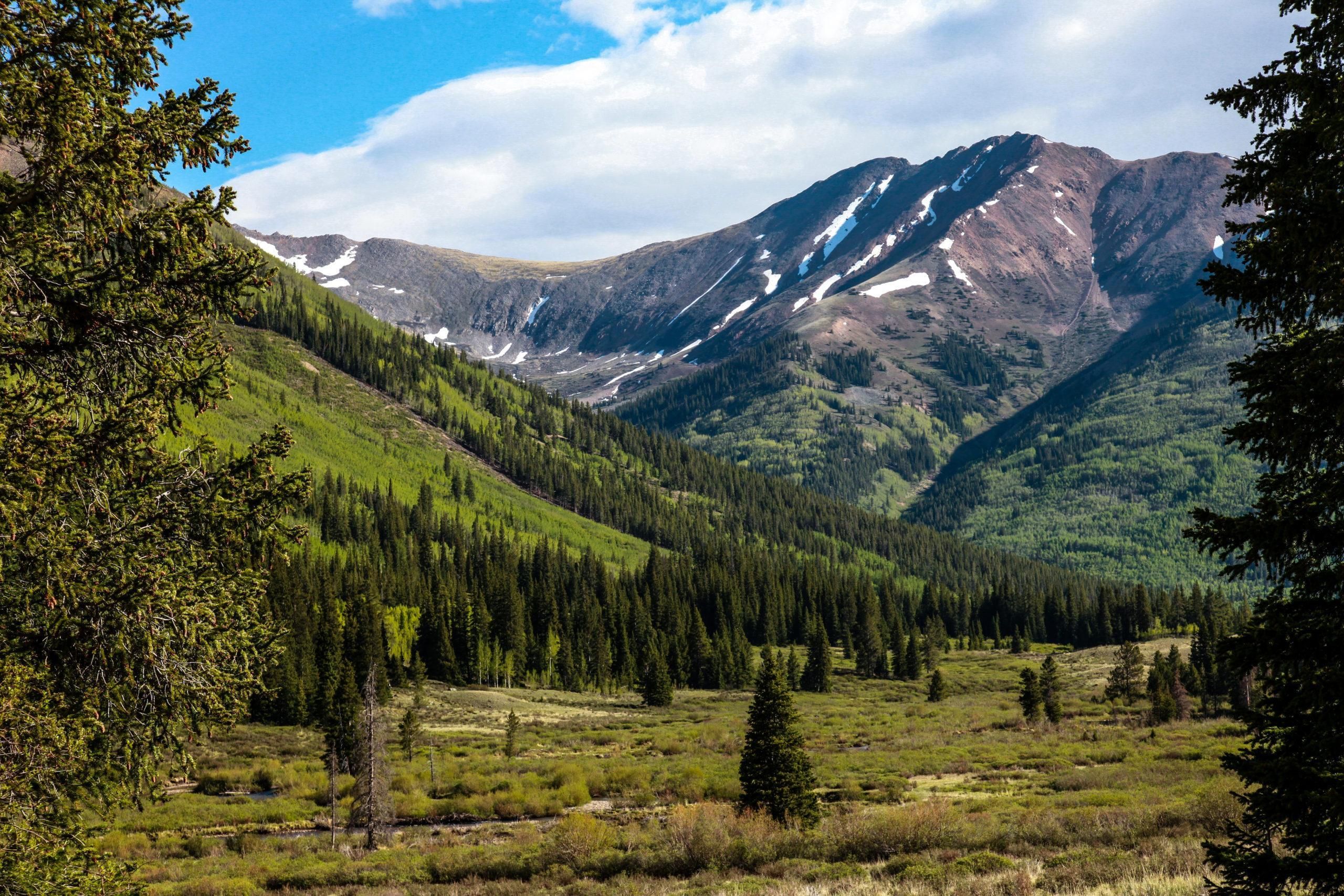 115.87 acres in Chaffee County, Colorado