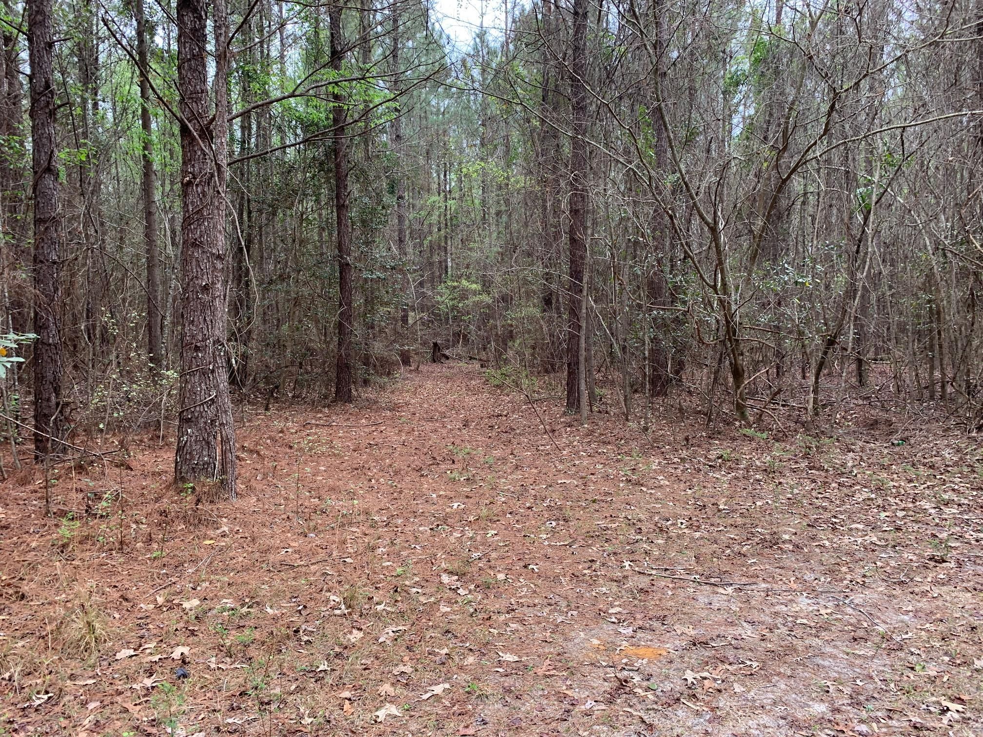 47 acres in Effingham County,