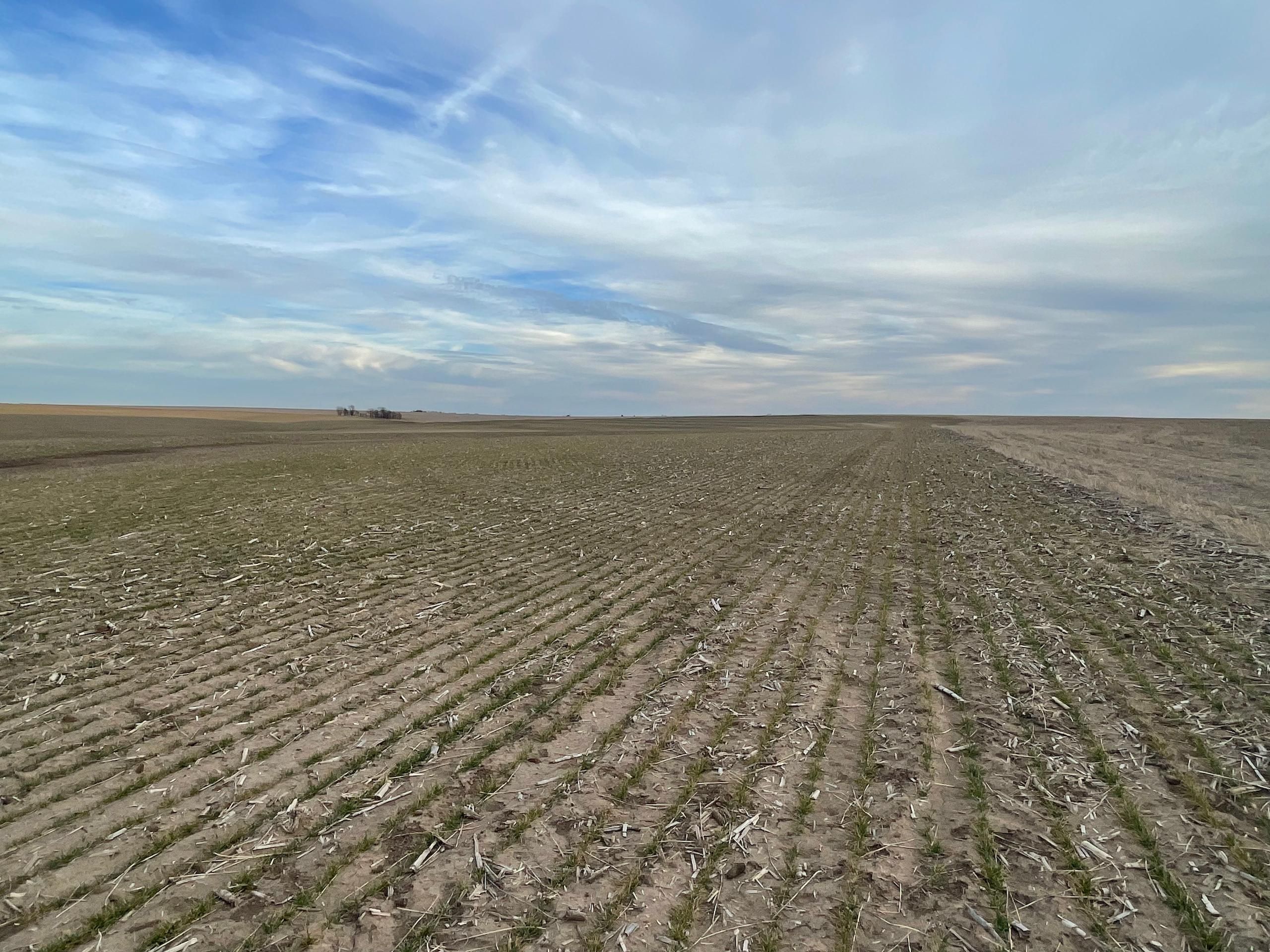 320 acres in Graham County, Kansas
