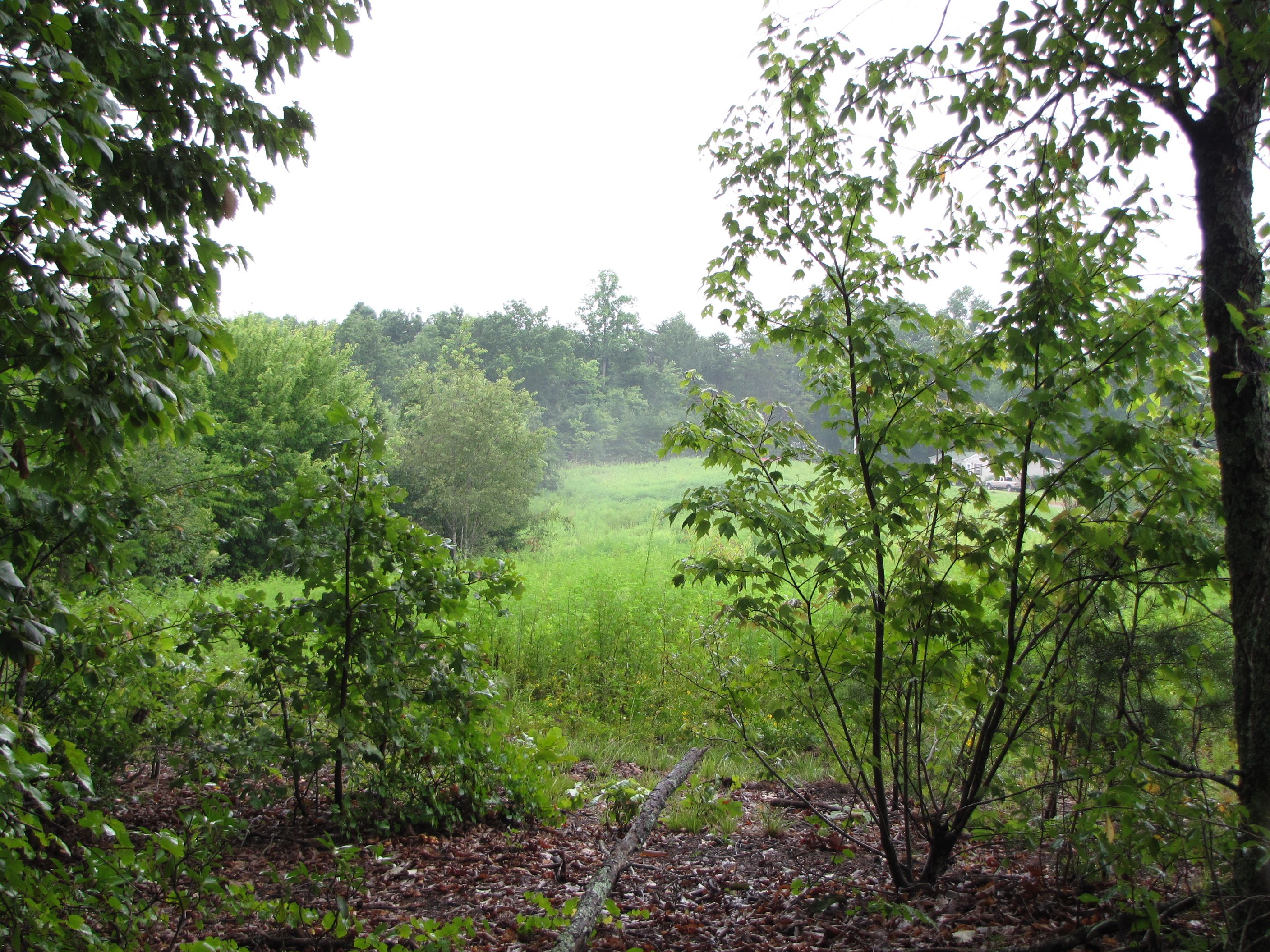 10 acres in Cleveland County, North Carolina