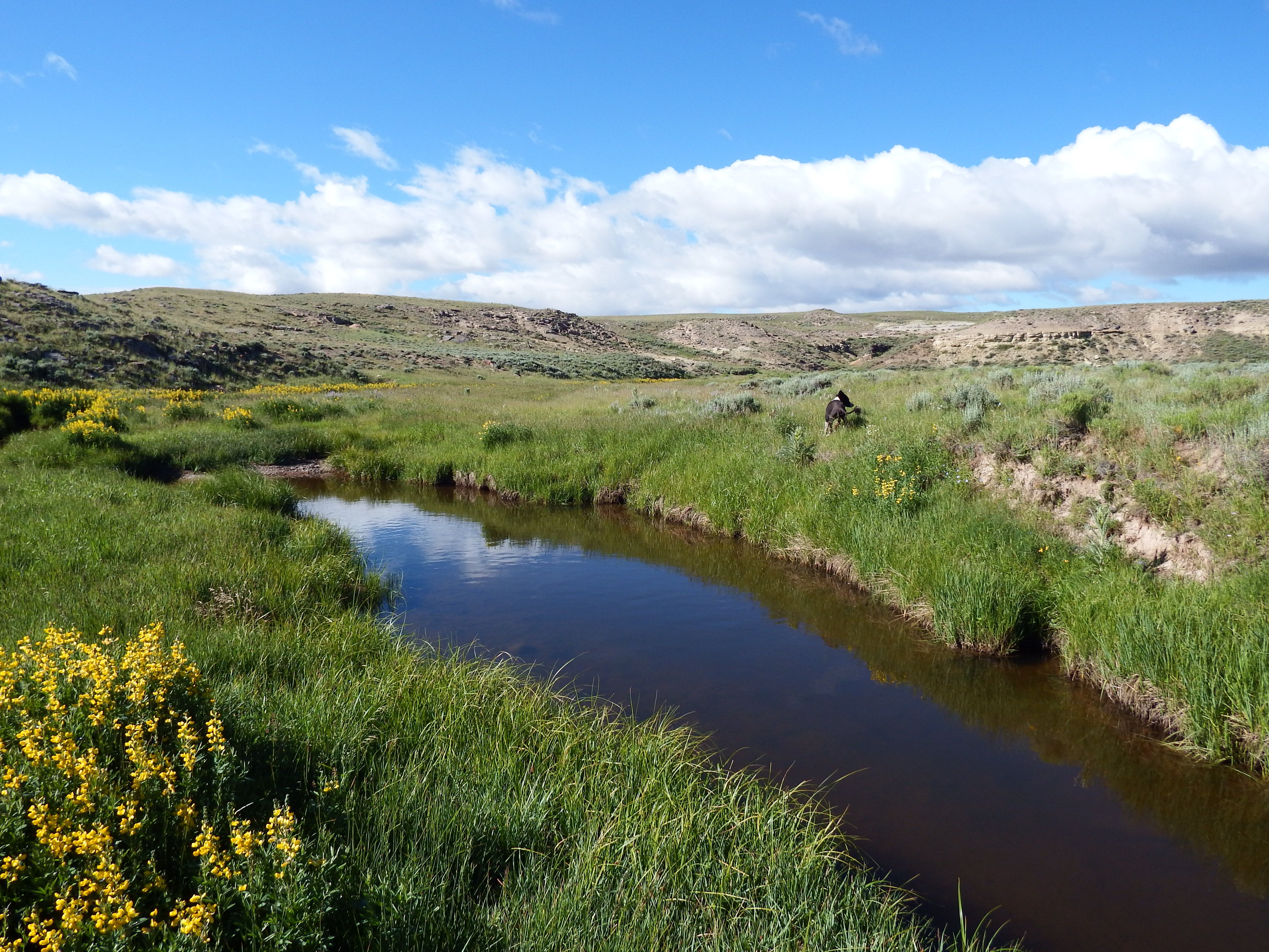 26,466 acres in Albany County, Wyoming