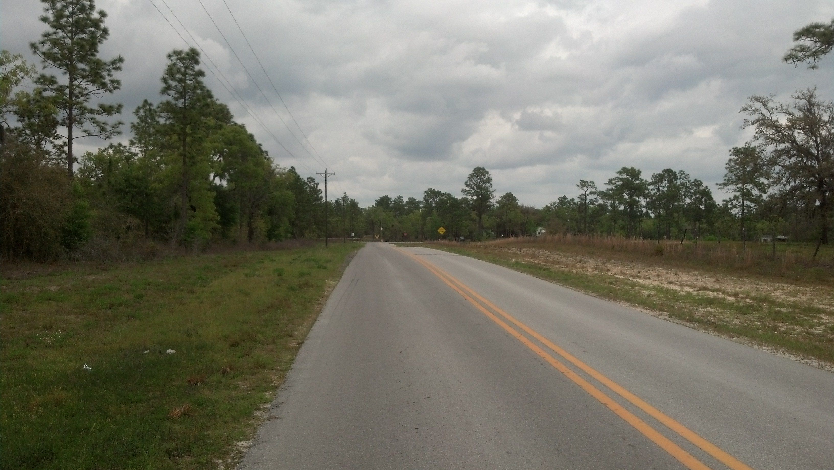Levy County Death Recordssupport And Help Search Result - 19zu576