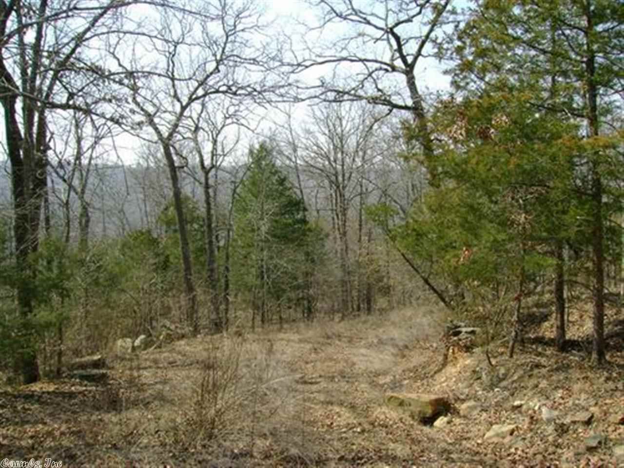 14 acres in Stone County, Arkansas