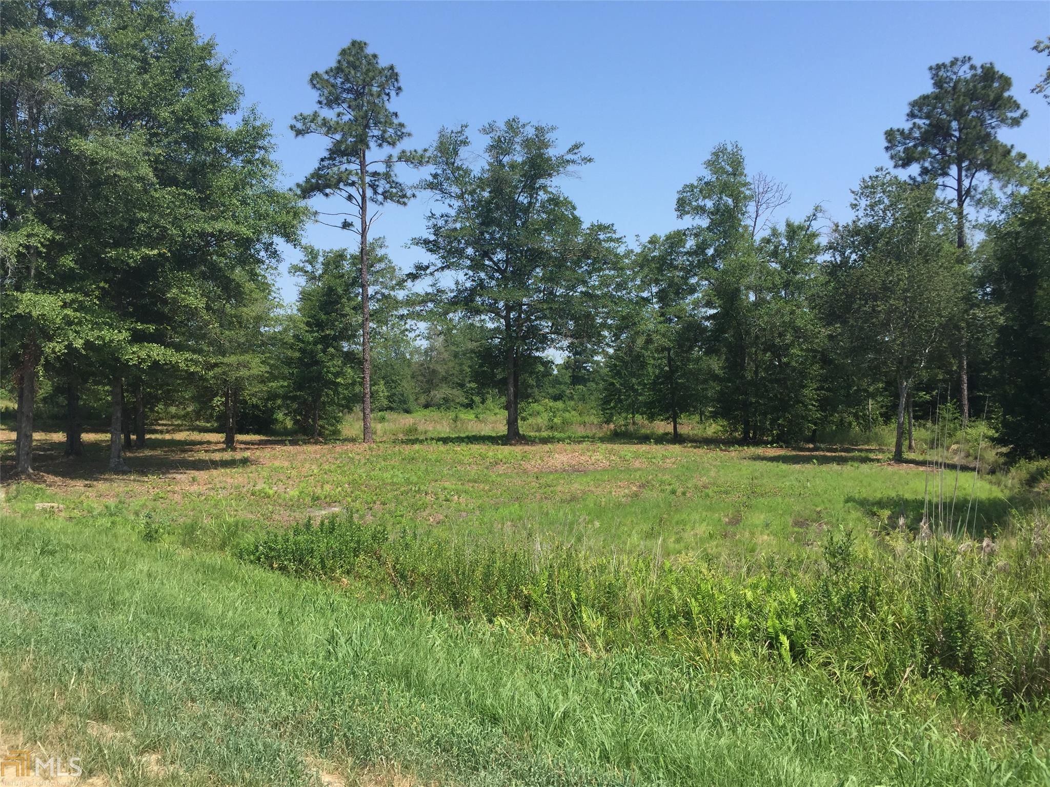 28 acres in Bulloch County,