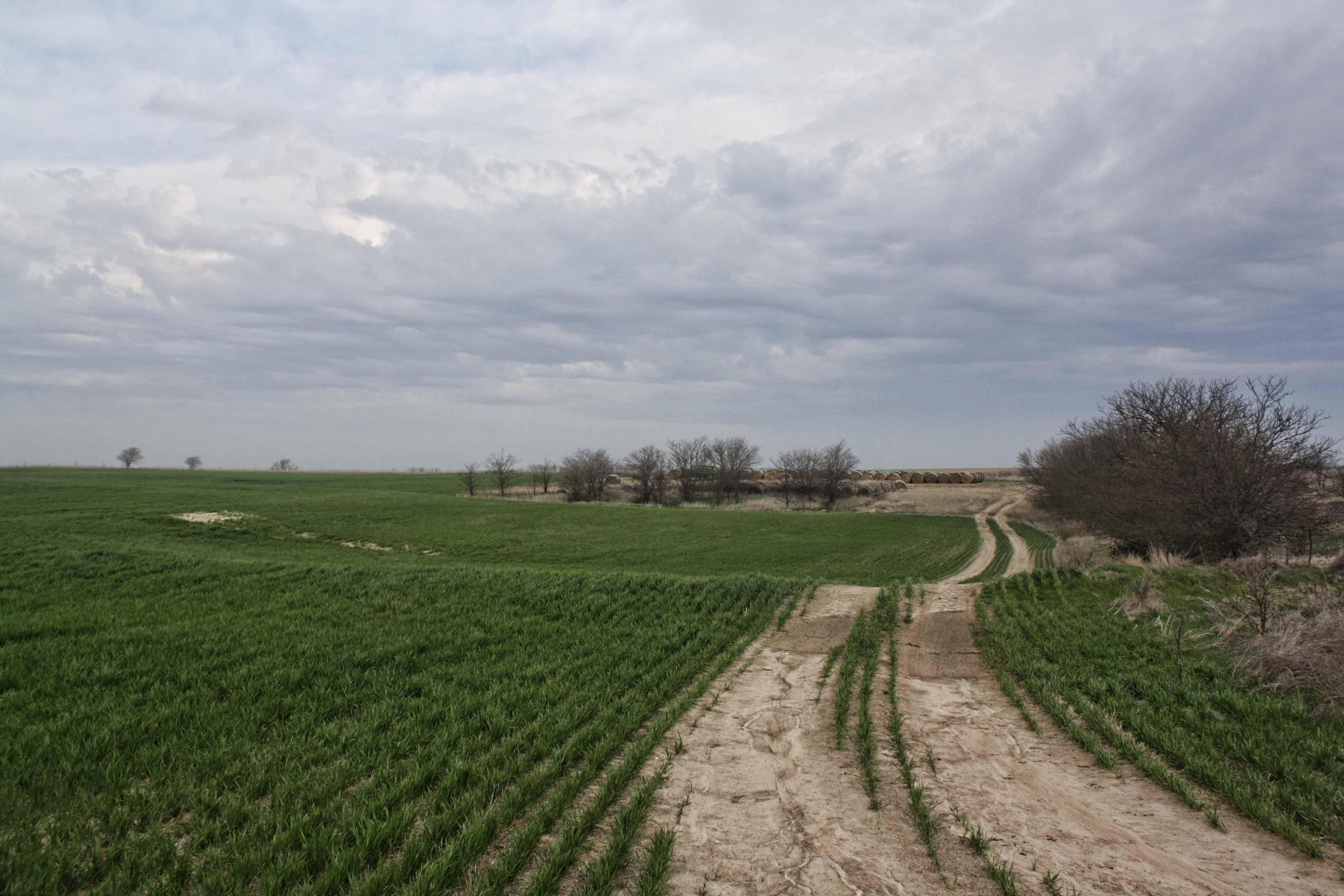 120 acres in Osborne County, Kansas