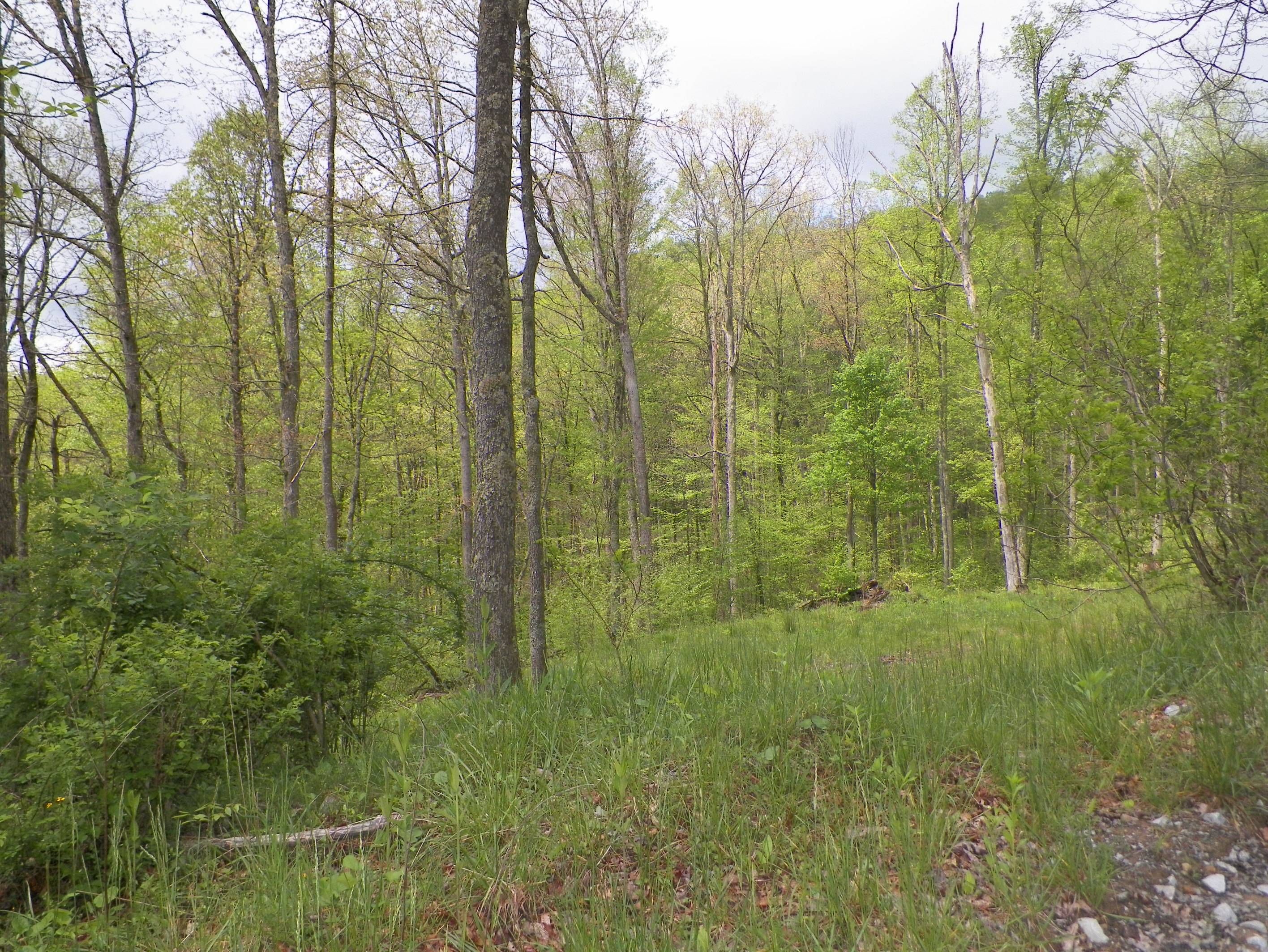 70 acres in Putnam County, West Virginia