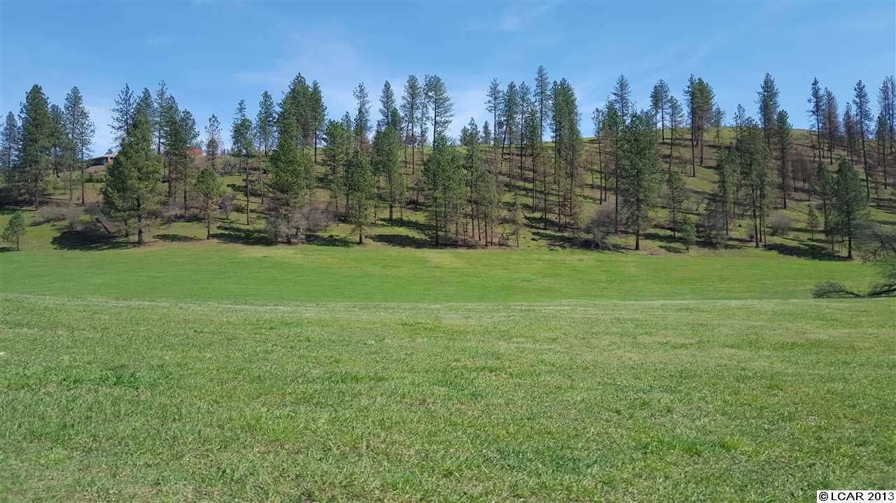 27 acres in Lewis County, Idaho