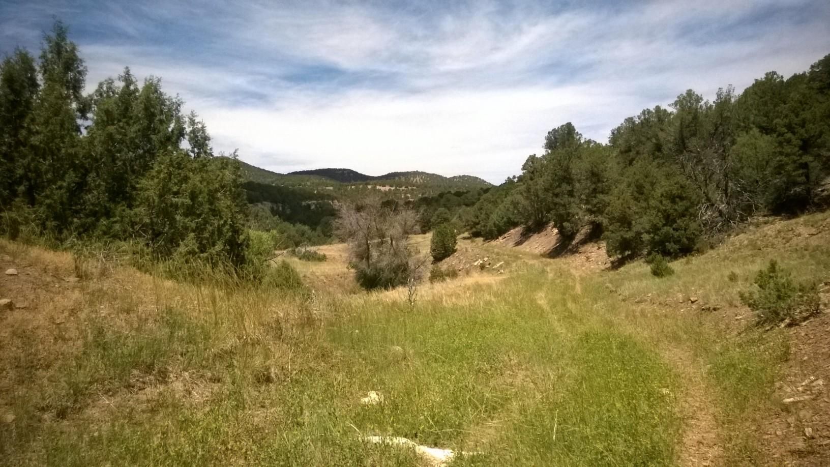 35 acres in Las Animas County, Colorado