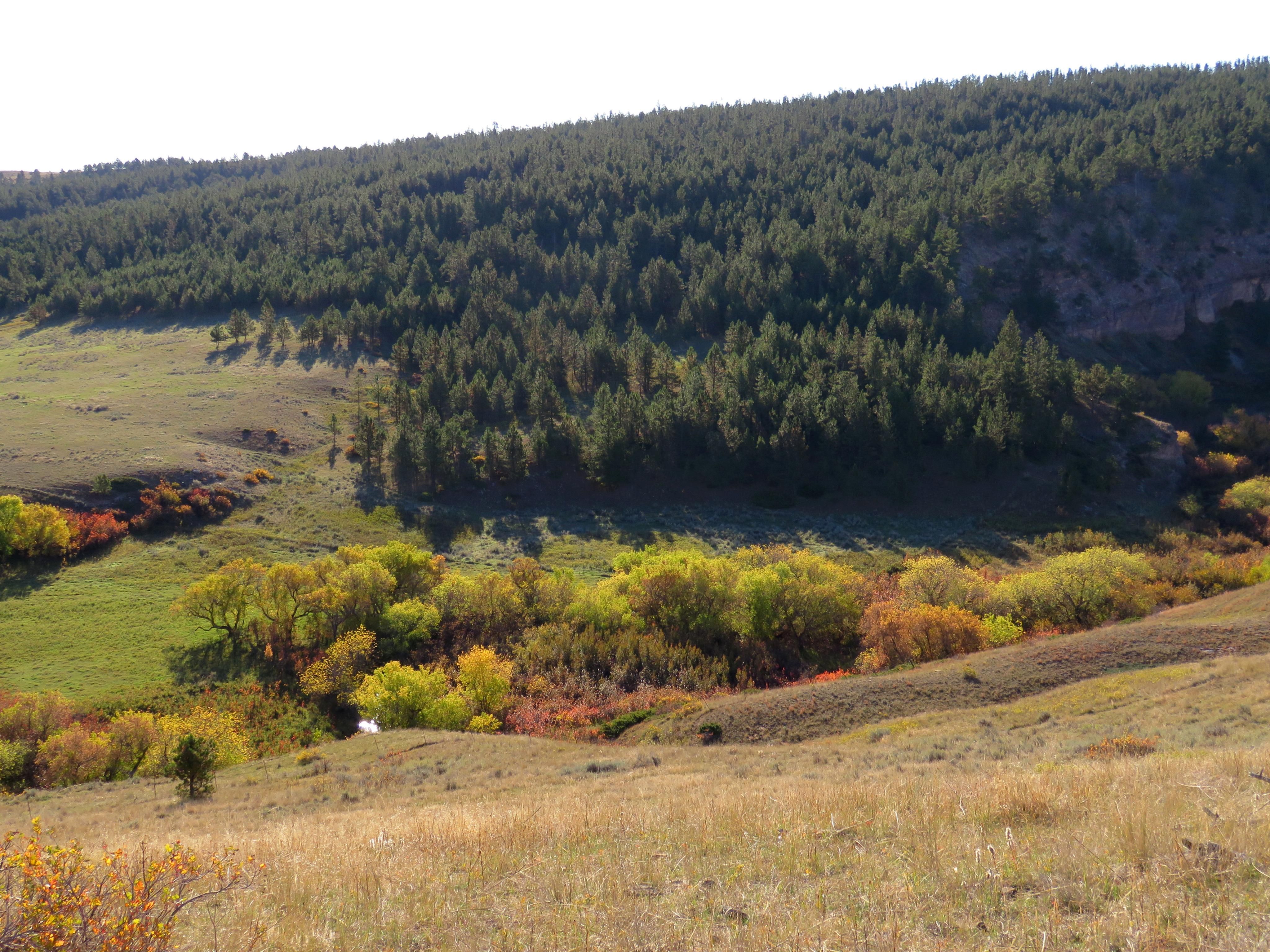 4,313.05 acres in Fergus County, Montana