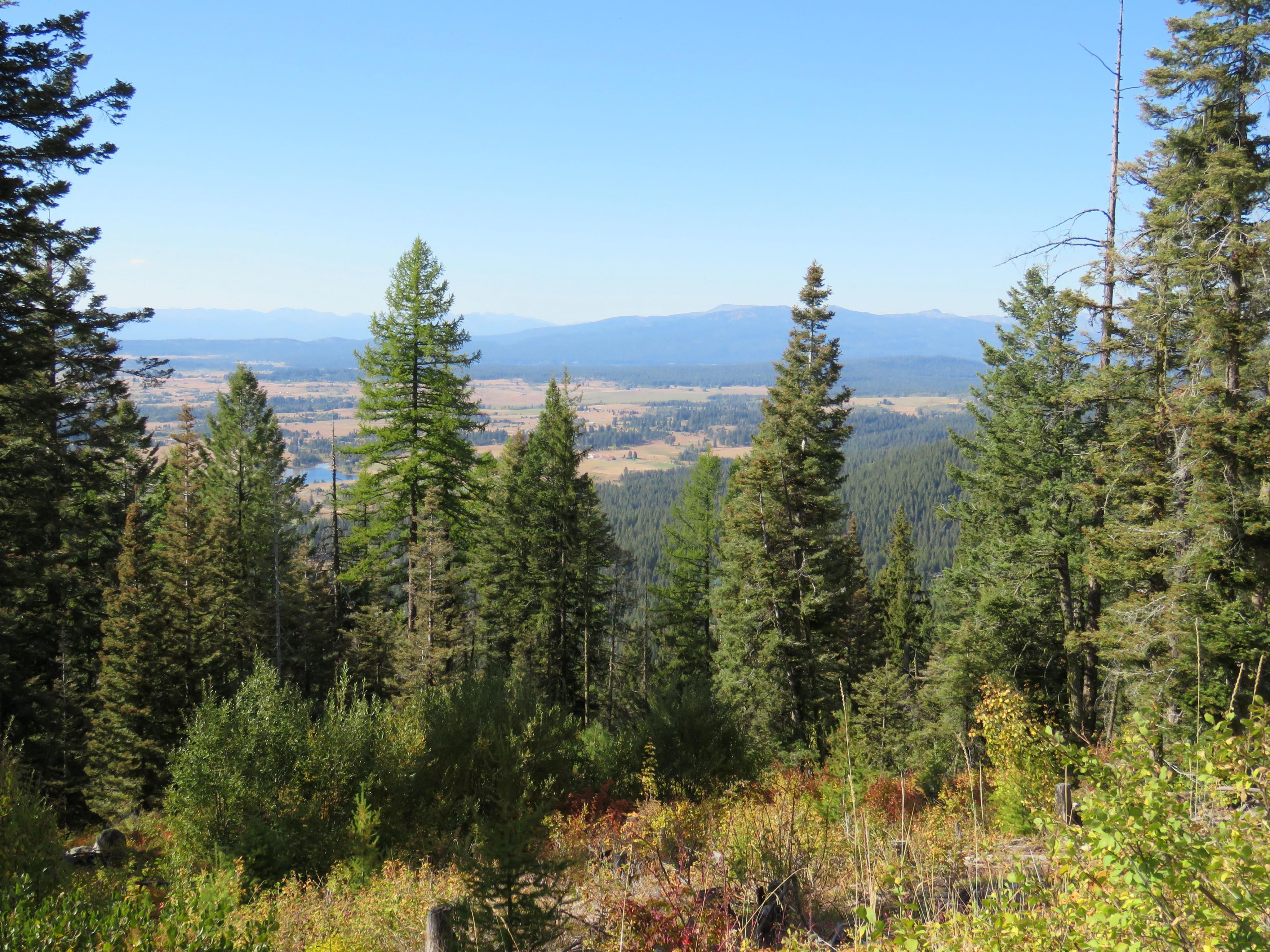 1,980 acres in Valley County, Idaho