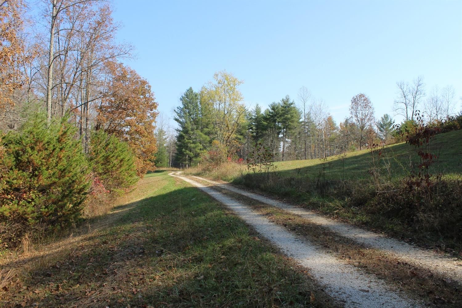 116 acres in Wolfe County, Kentucky