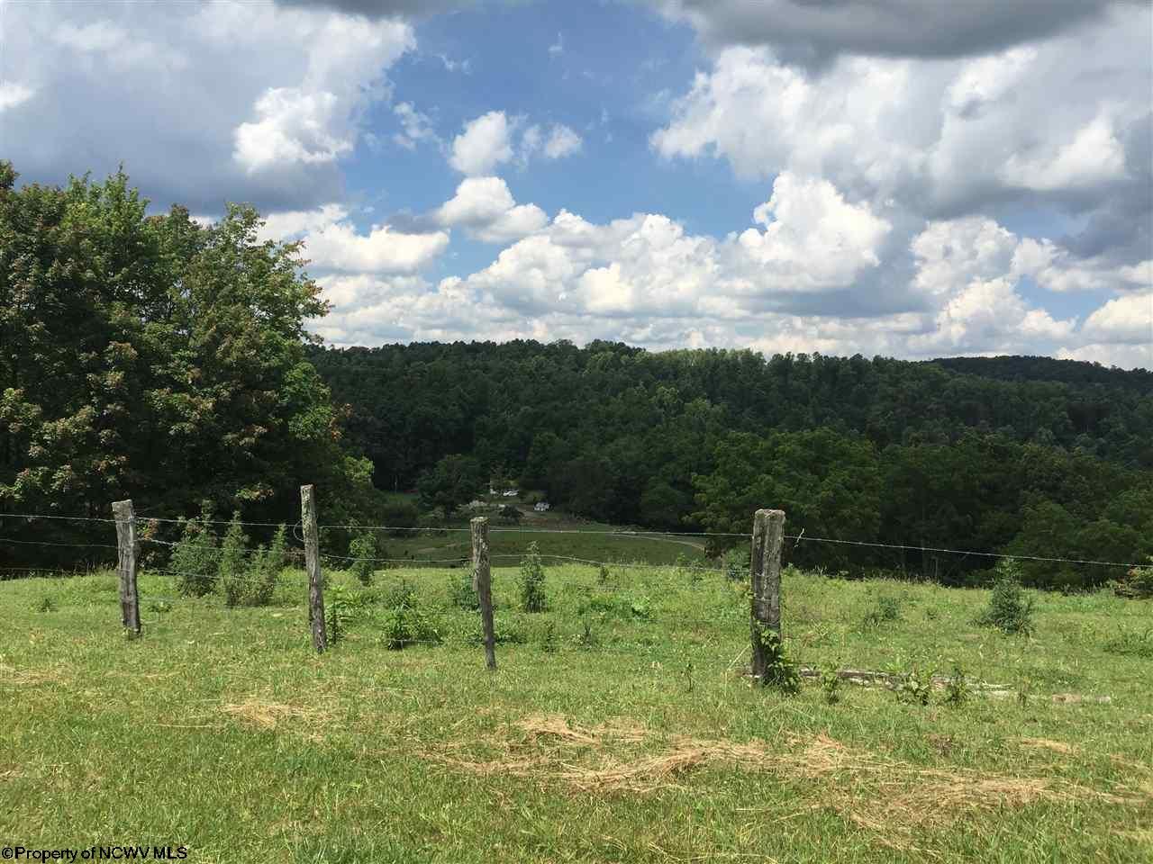 133 acres in Preston County, West Virginia