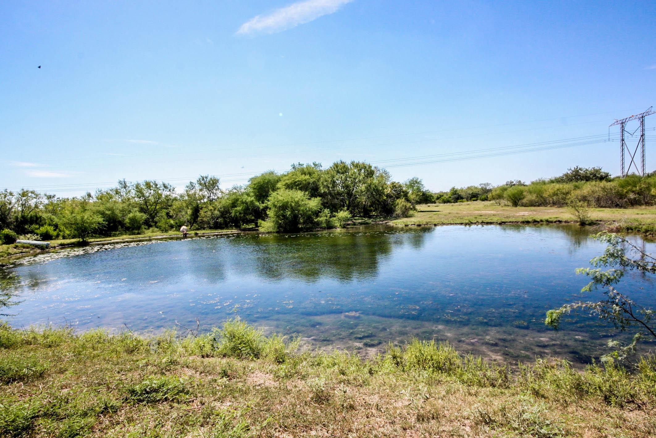 256 acres in Bee County, Texas