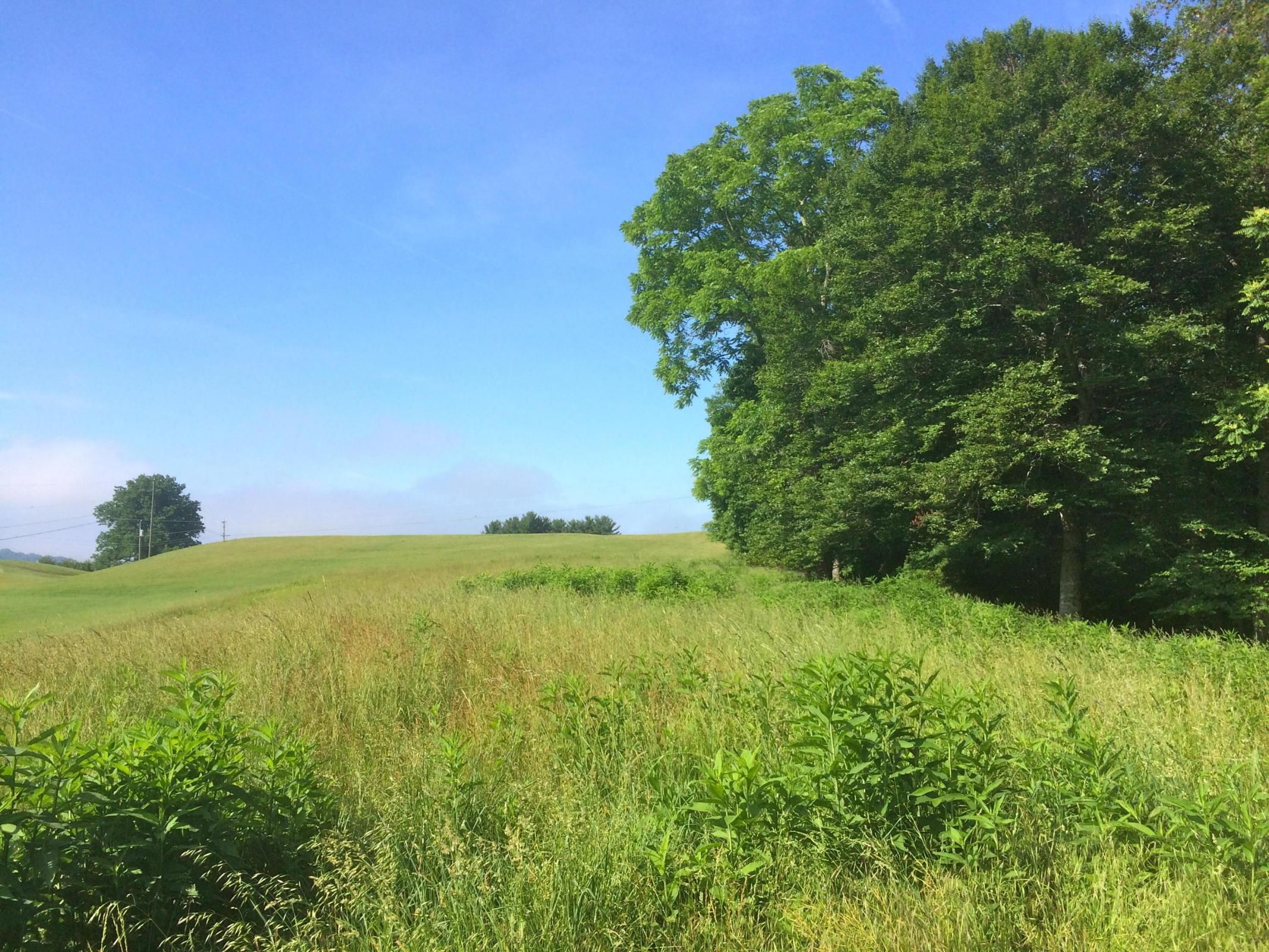 8.77 acres in Rockbridge County, Virginia