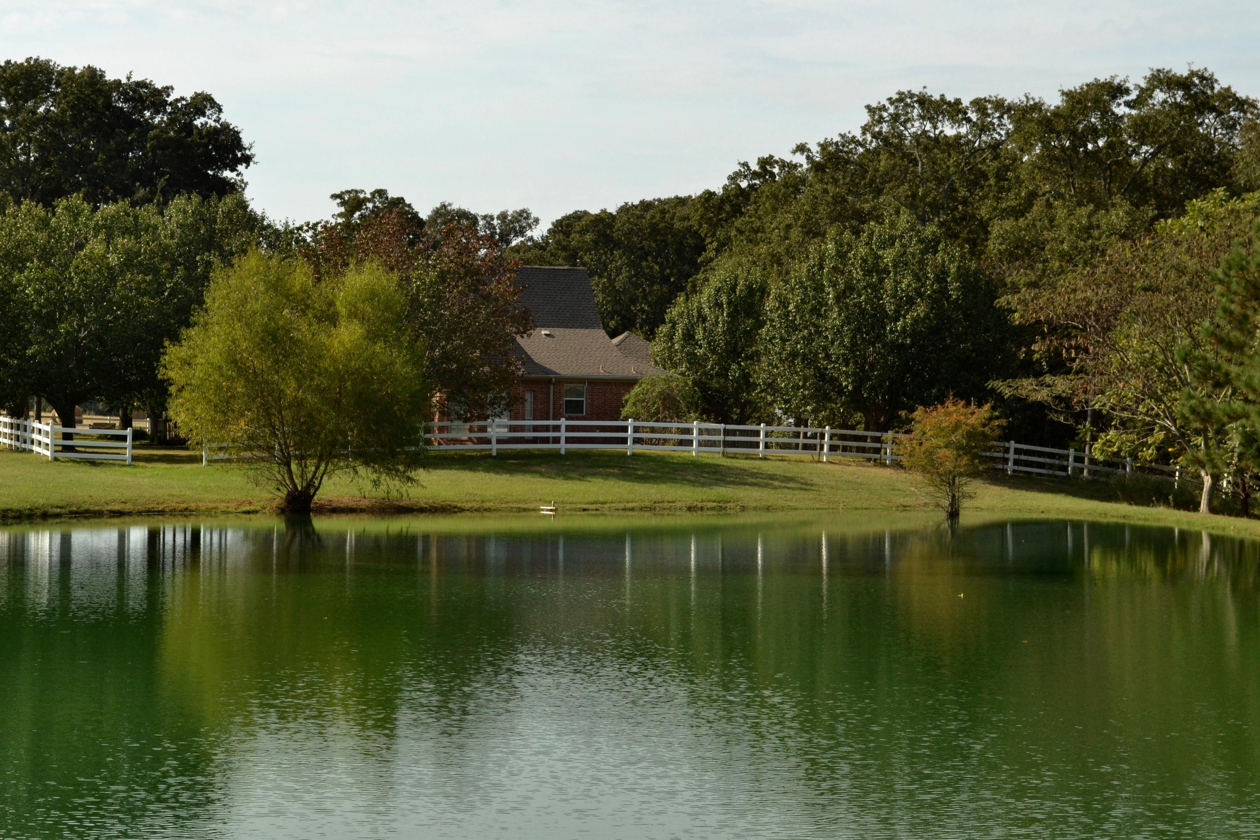 100 acres in Henderson County, Texas